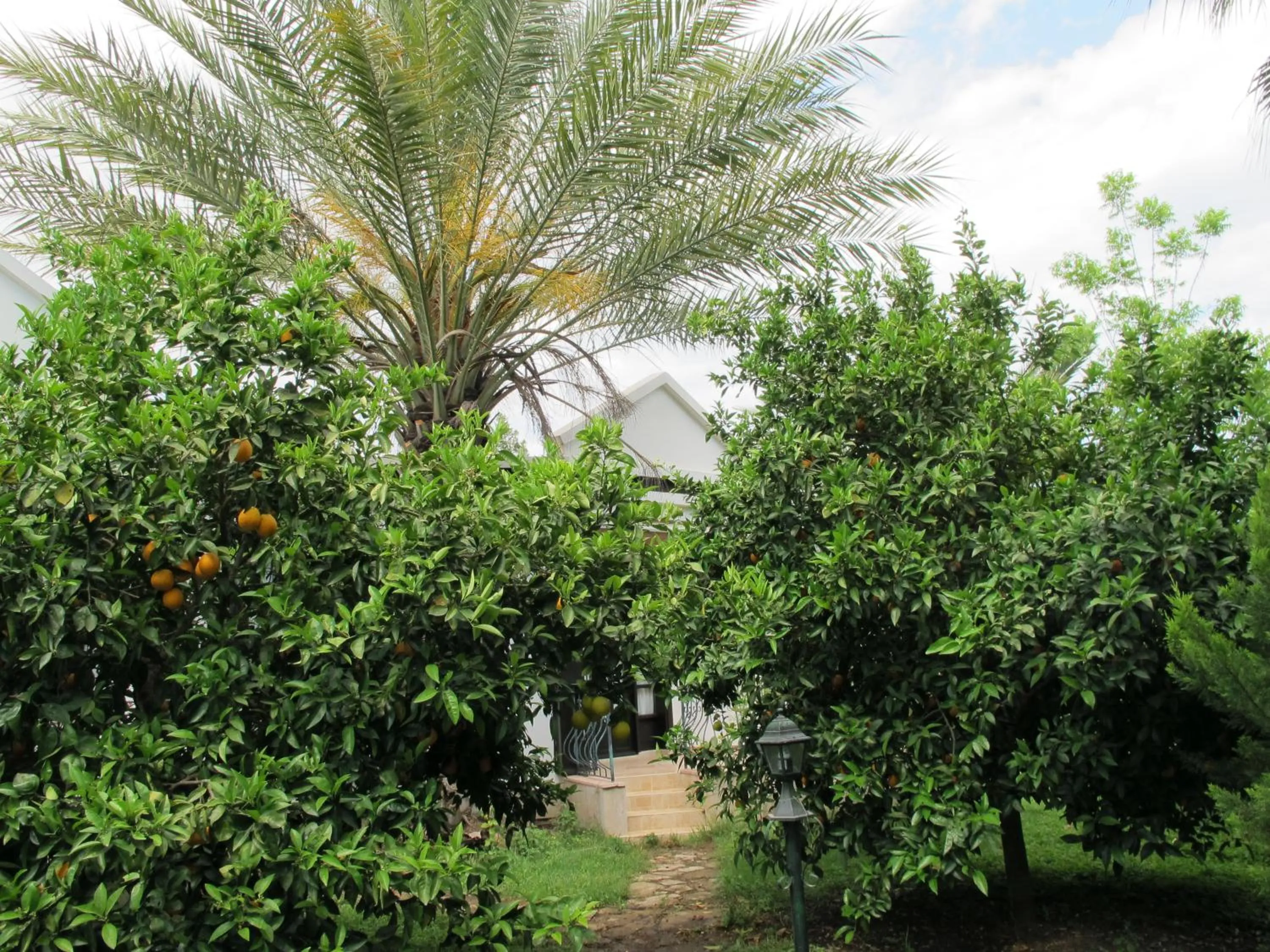 Patio in Hemerans Anatolia