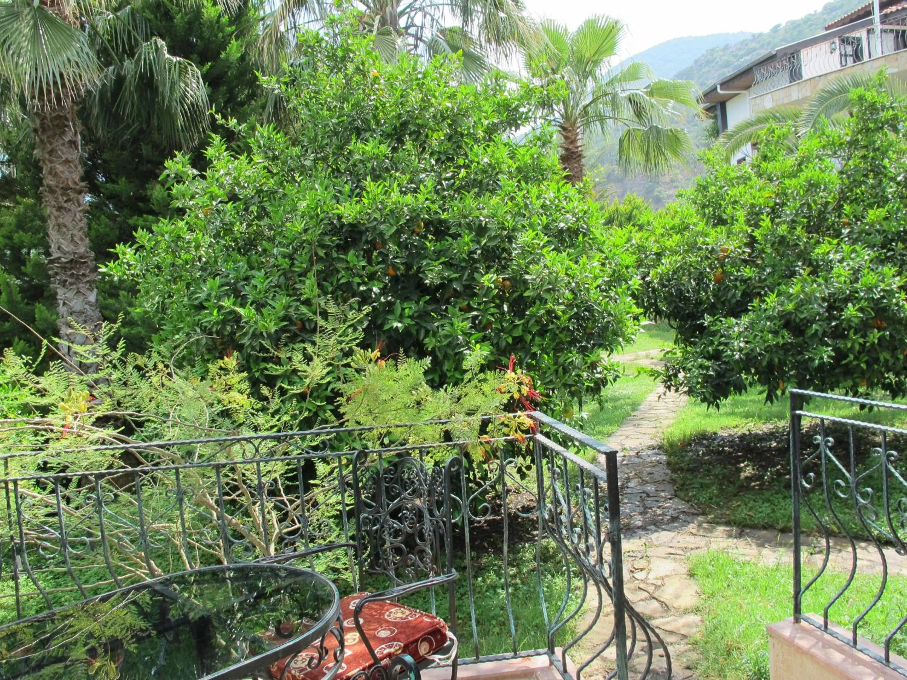 Garden in Hemerans Anatolia
