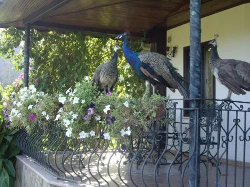 Day in Hemerans Anatolia
