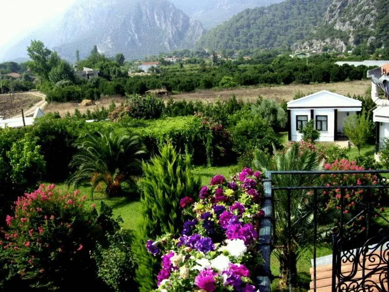 Spring in Hemerans Anatolia