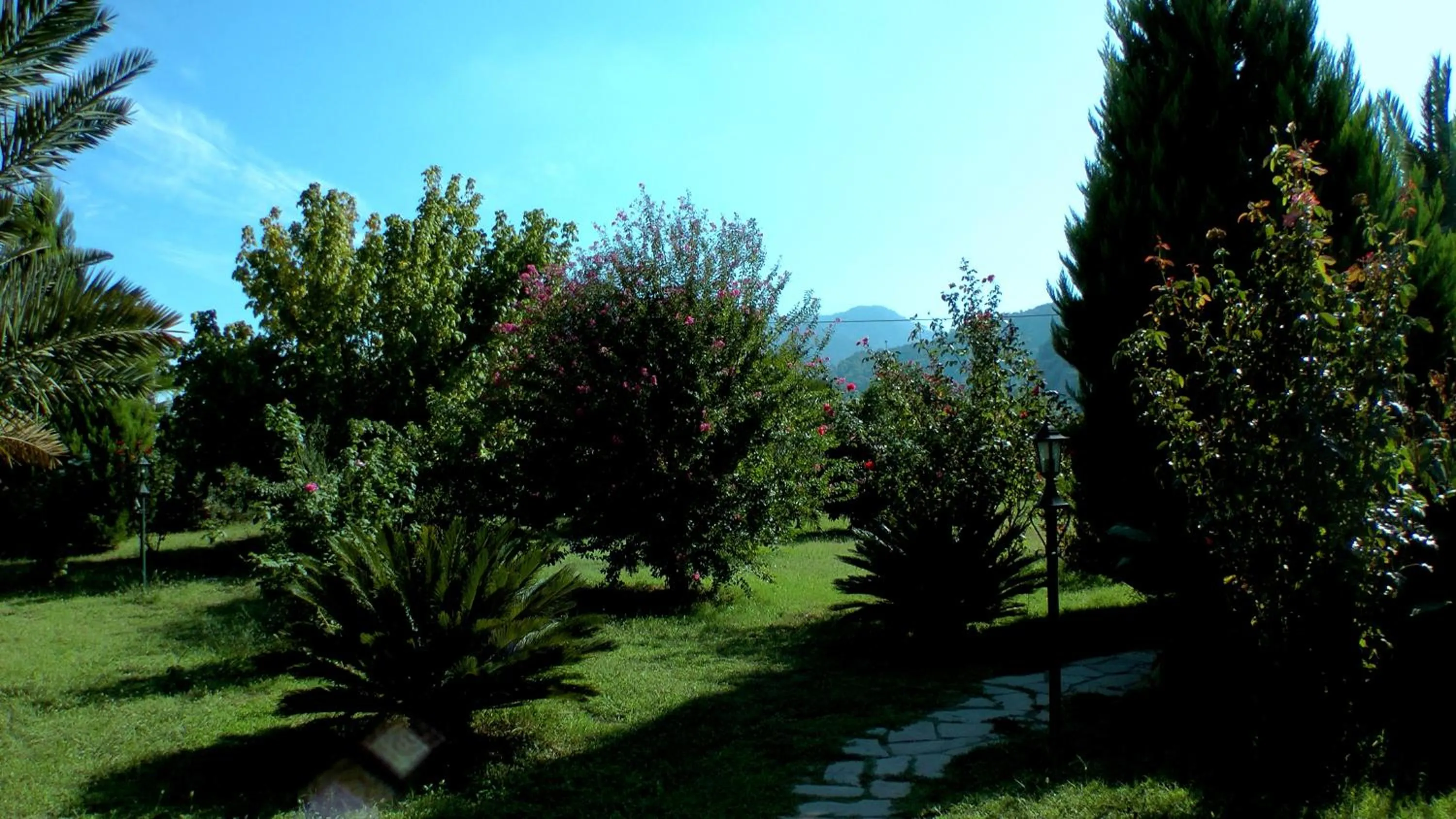 Garden in Hemerans Anatolia