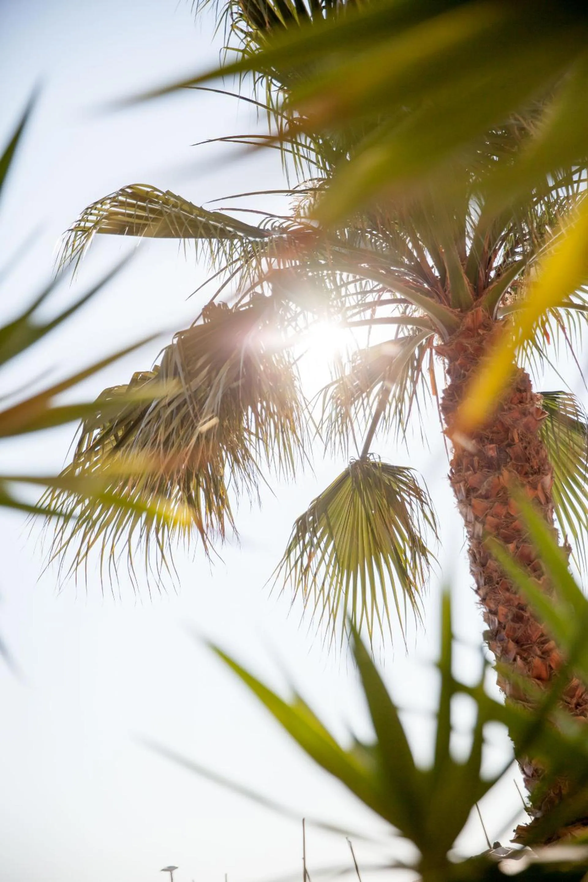 Day in Hotel Golfo e Palme