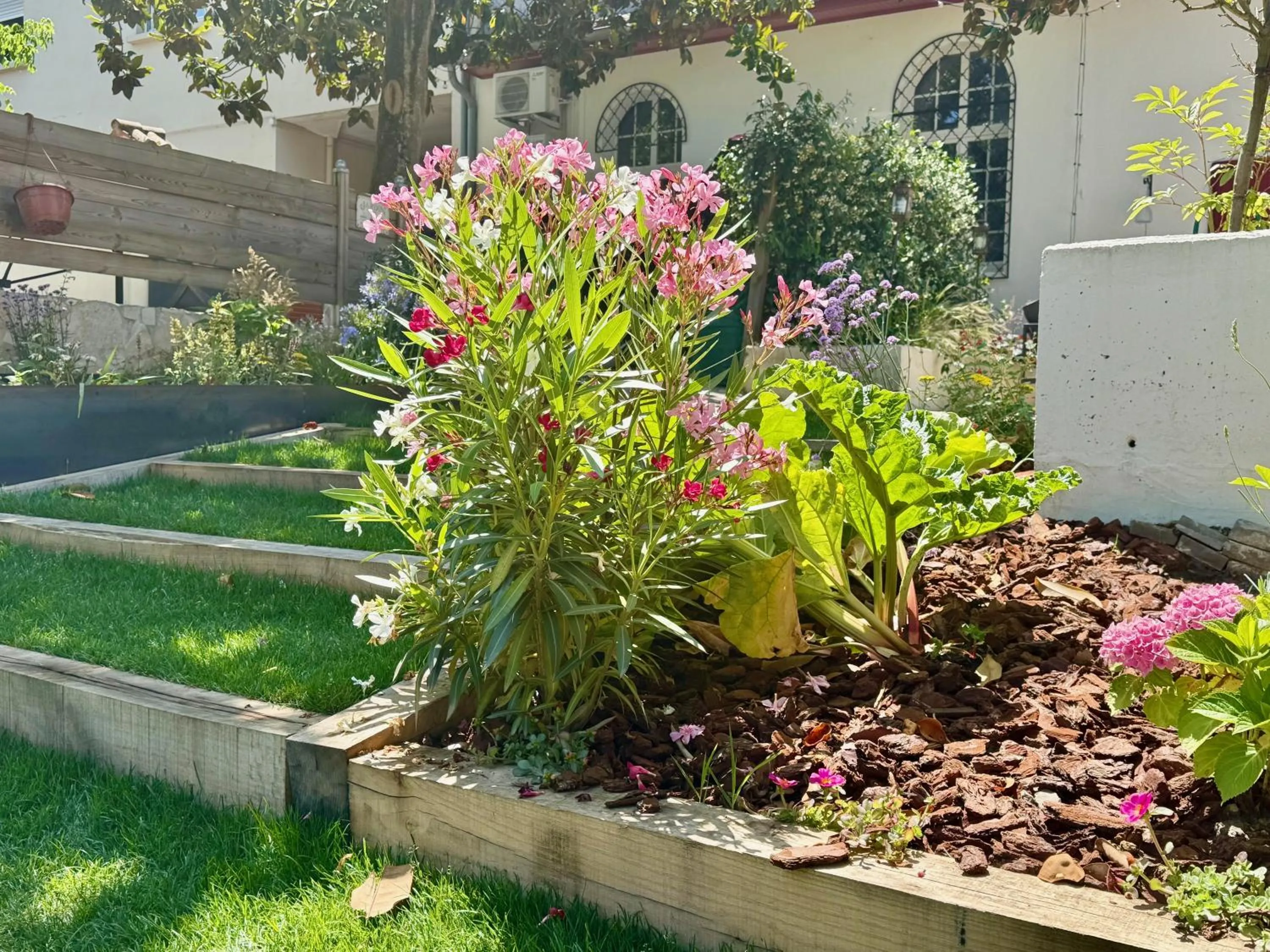 Garden in La Maison Florence