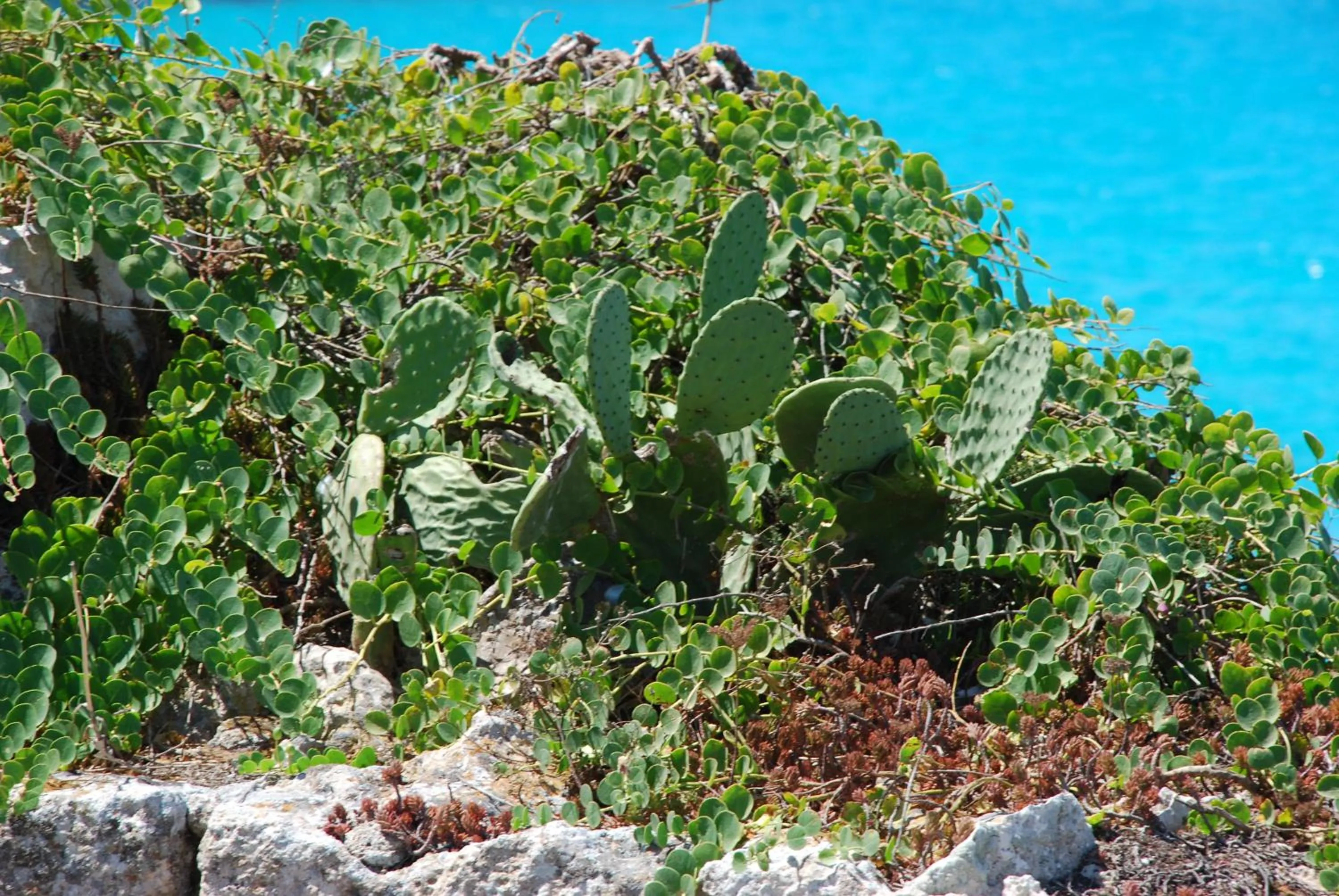 Other in Hotel Il Portico