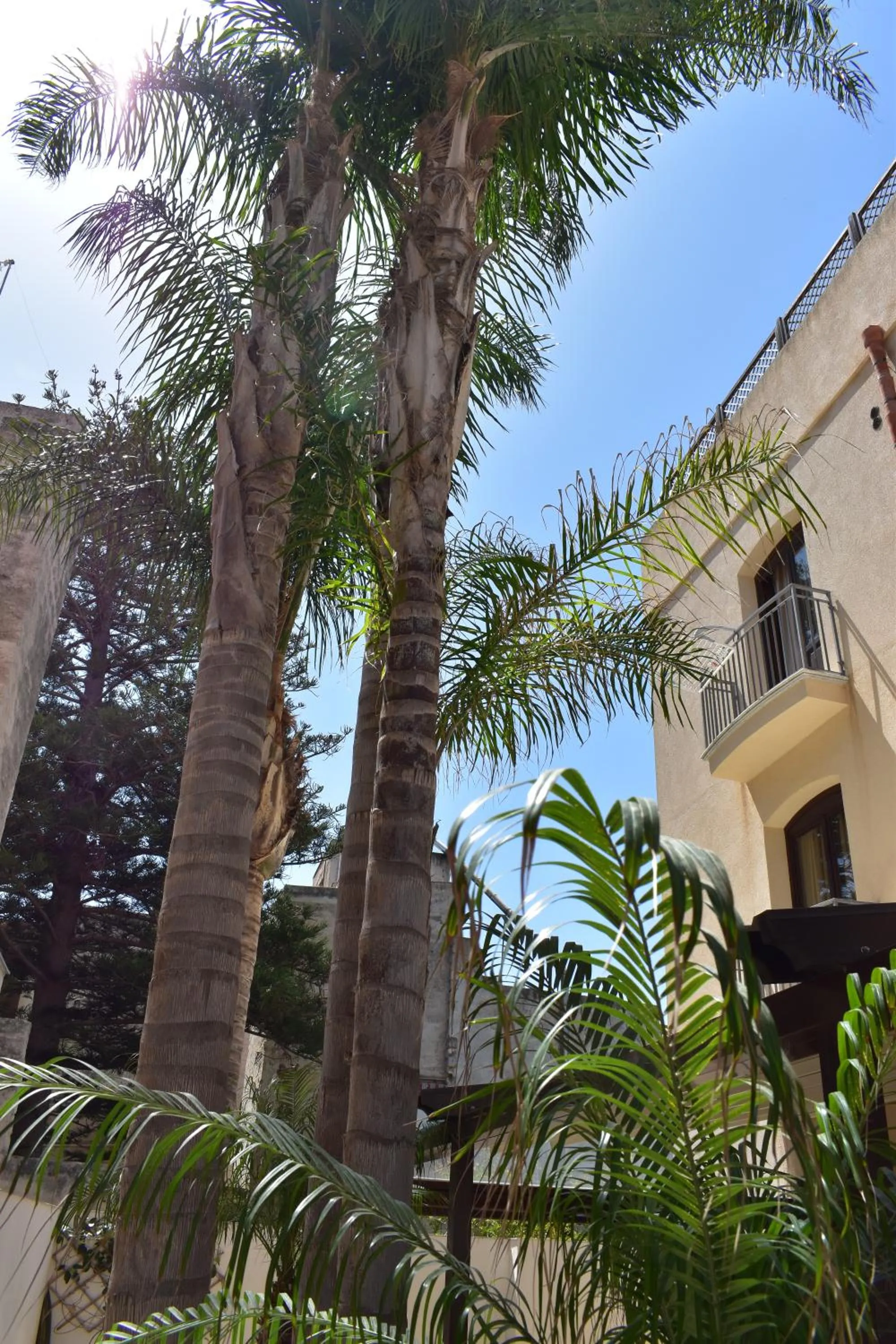 Patio in Hotel Il Portico