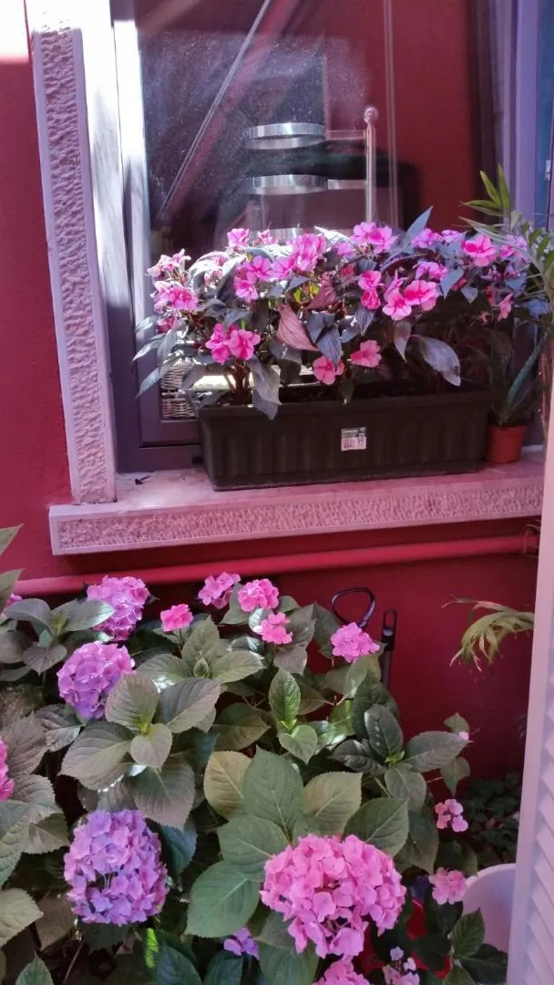 Garden in Hotel Danieli La Castellana lago di Garda