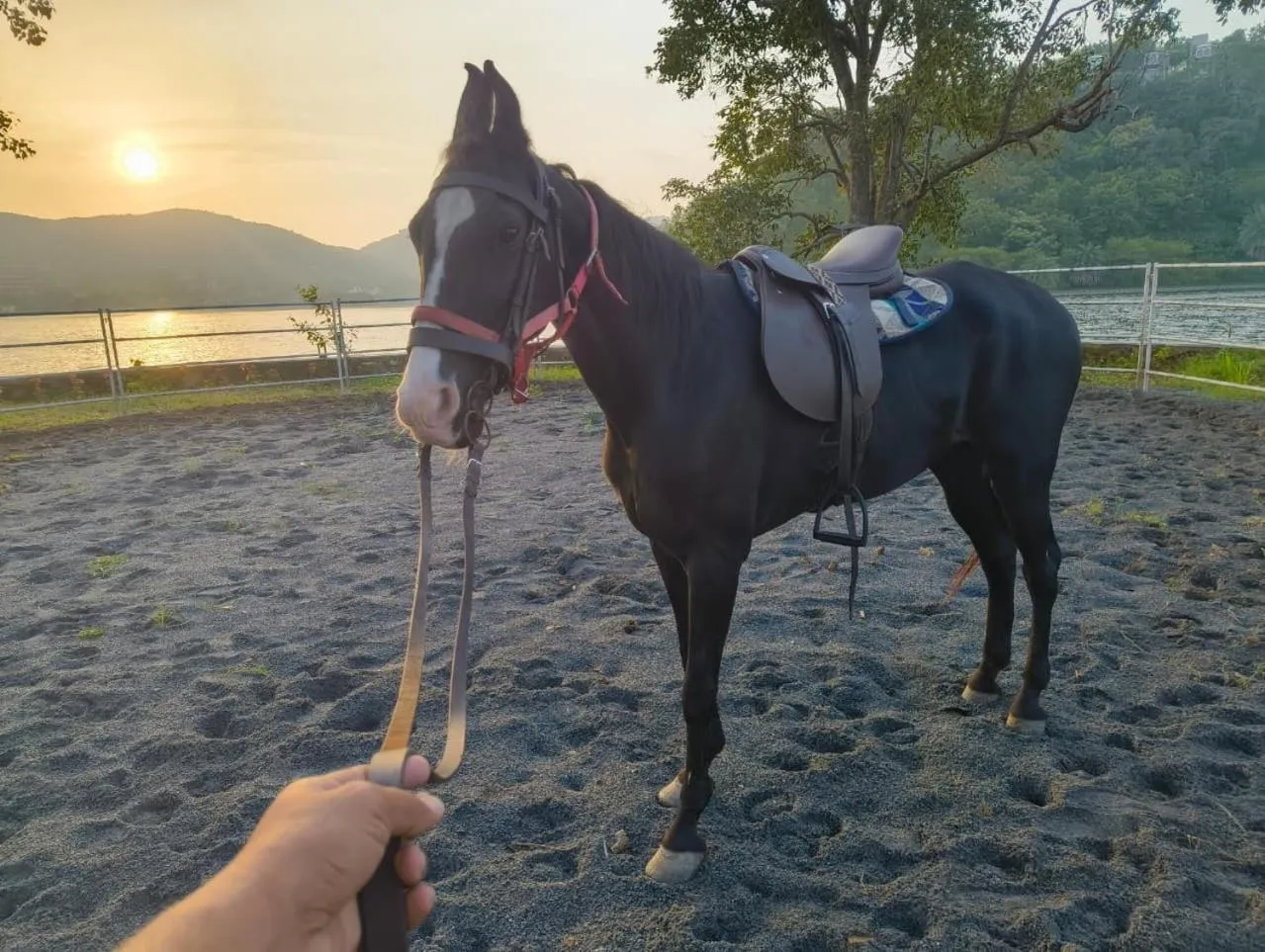 Horse-riding in Sarasiruham Resort - Private Pool Villa in Udaipur