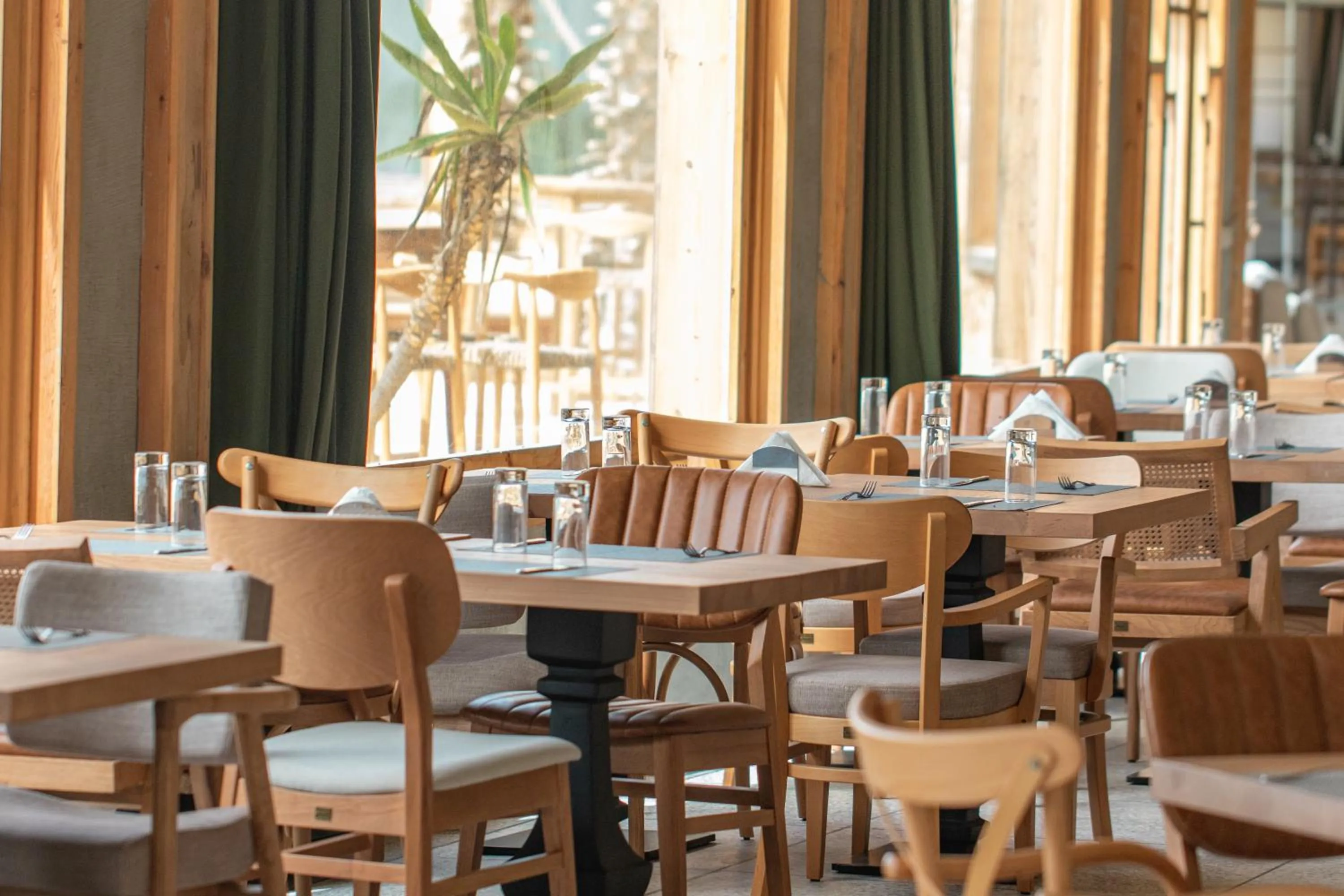 Restaurant/places to eat in Oasis212 Dakhla