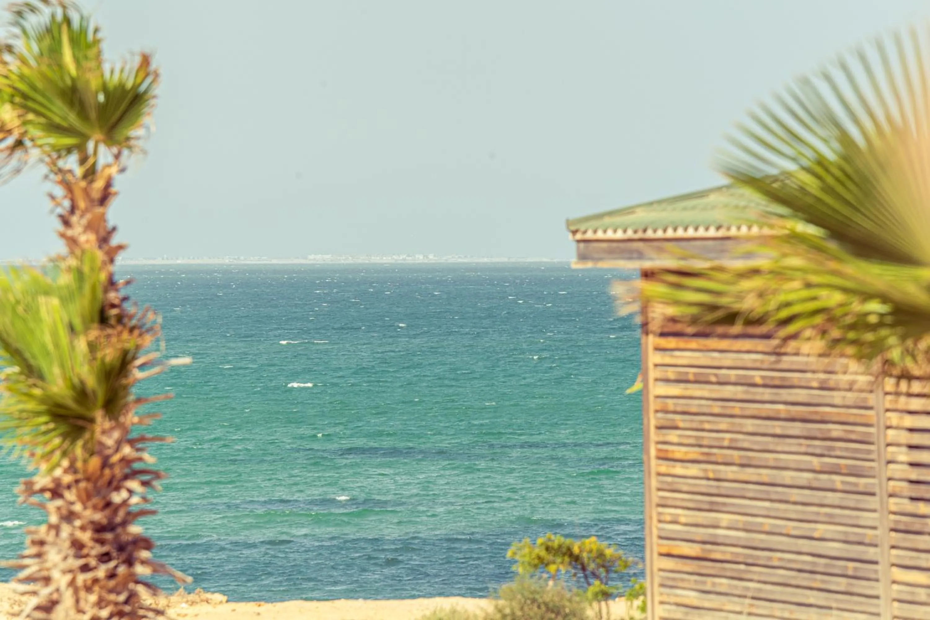 Sea view in Oasis212 Dakhla