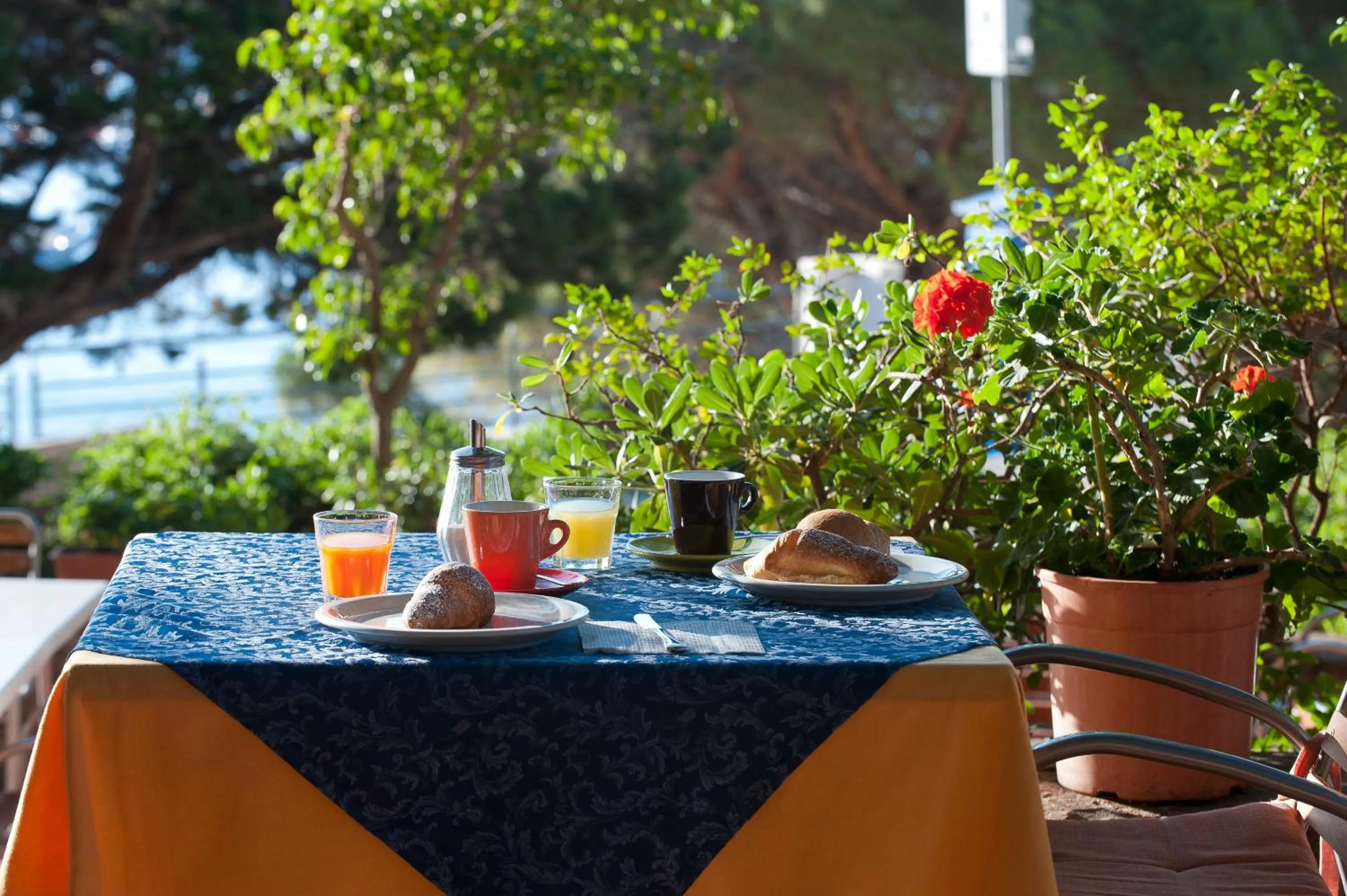 Breakfast in Albergo Miramare