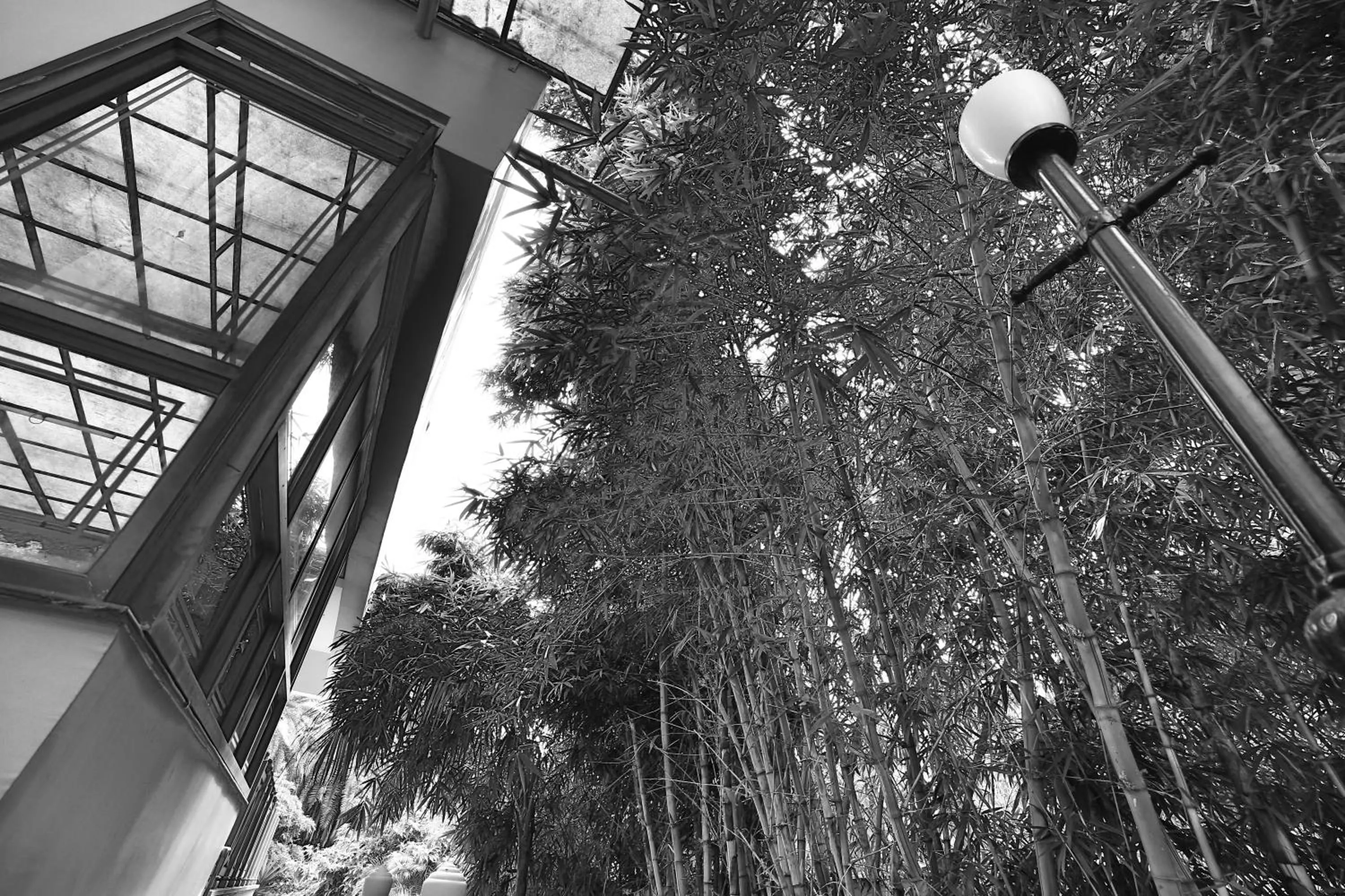 Day in Hotel Shiv Villa