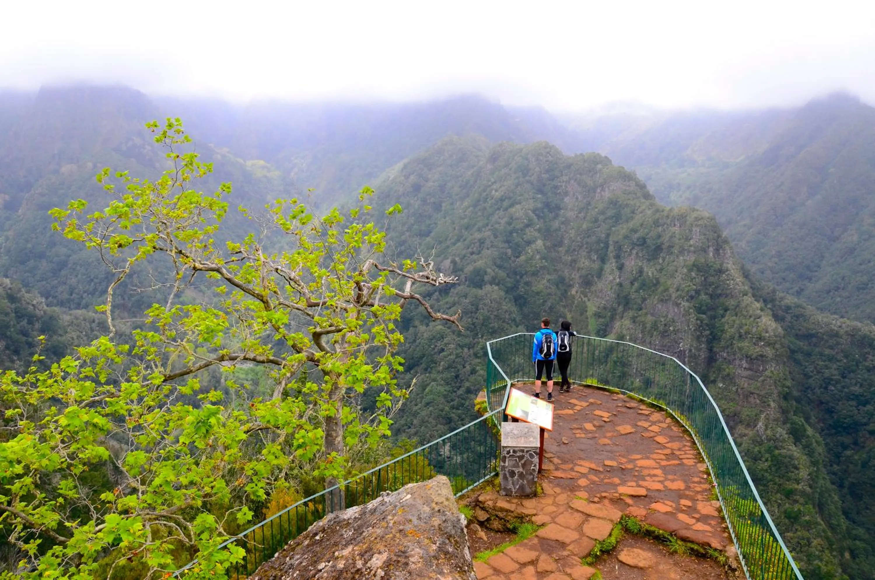 Activities in VILA ALEGRIA
