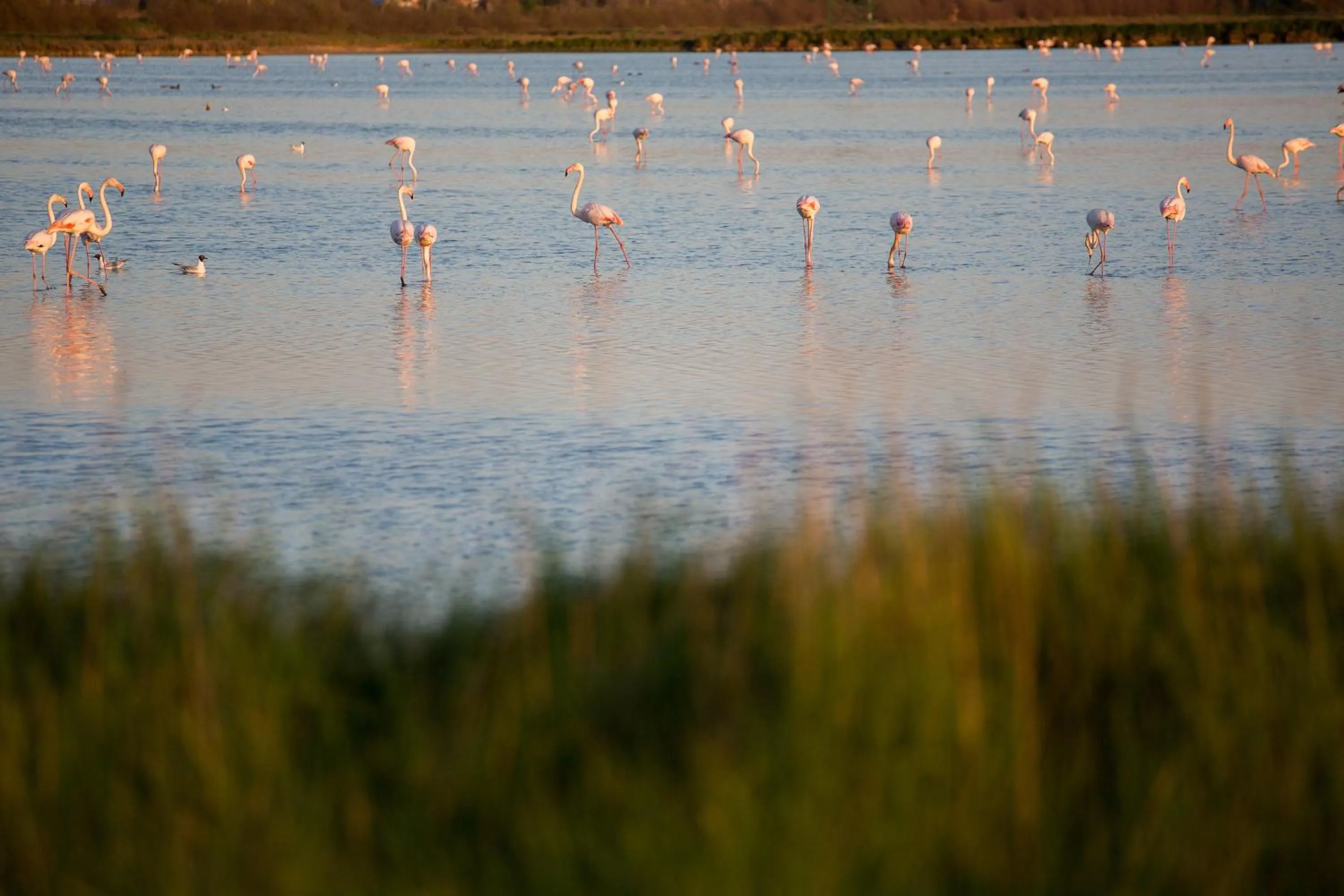 Natural landscape in Hotel Majestic