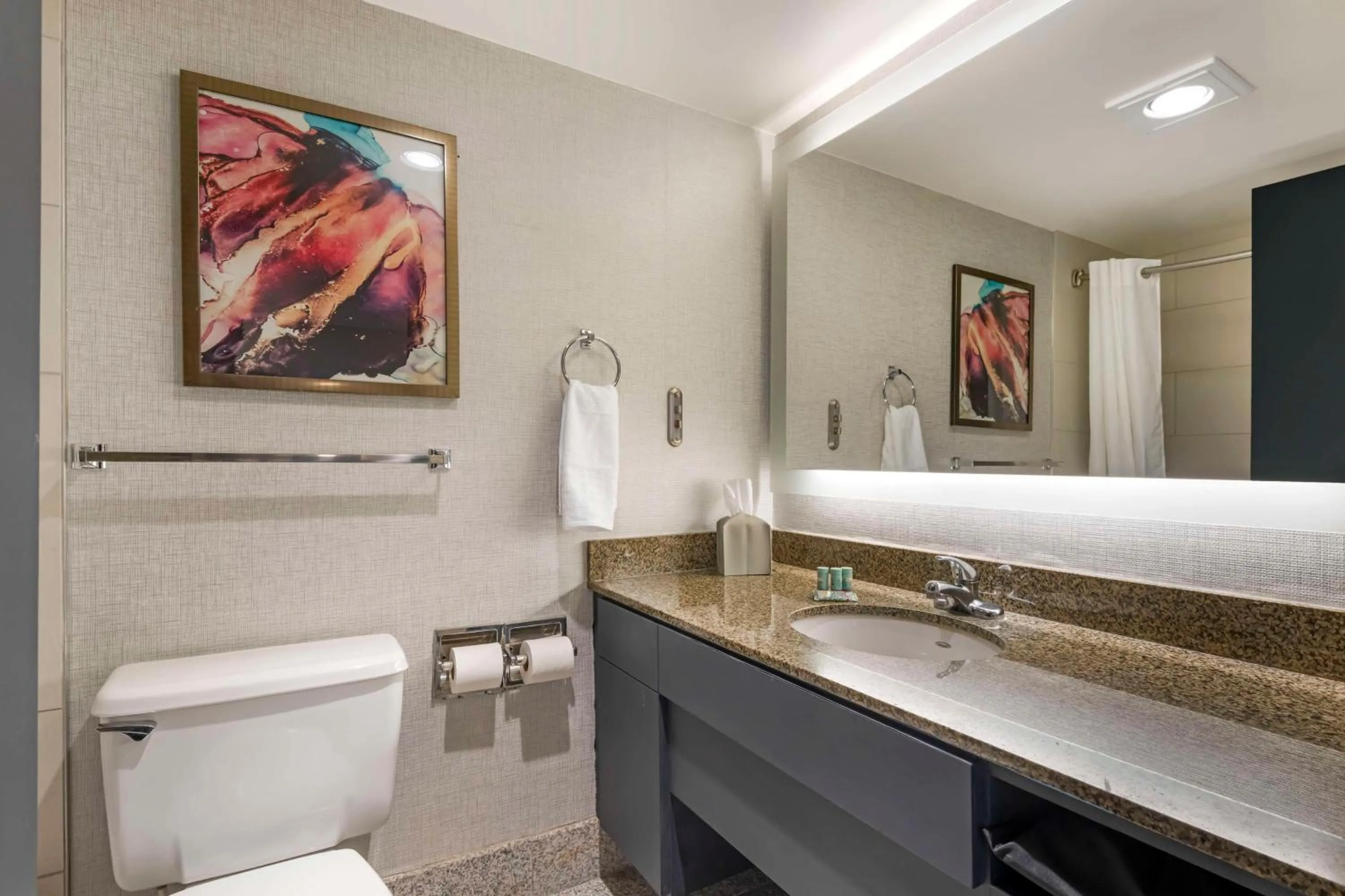 Bathroom in Best Western Brooklyn Center Hotel & Conference Center