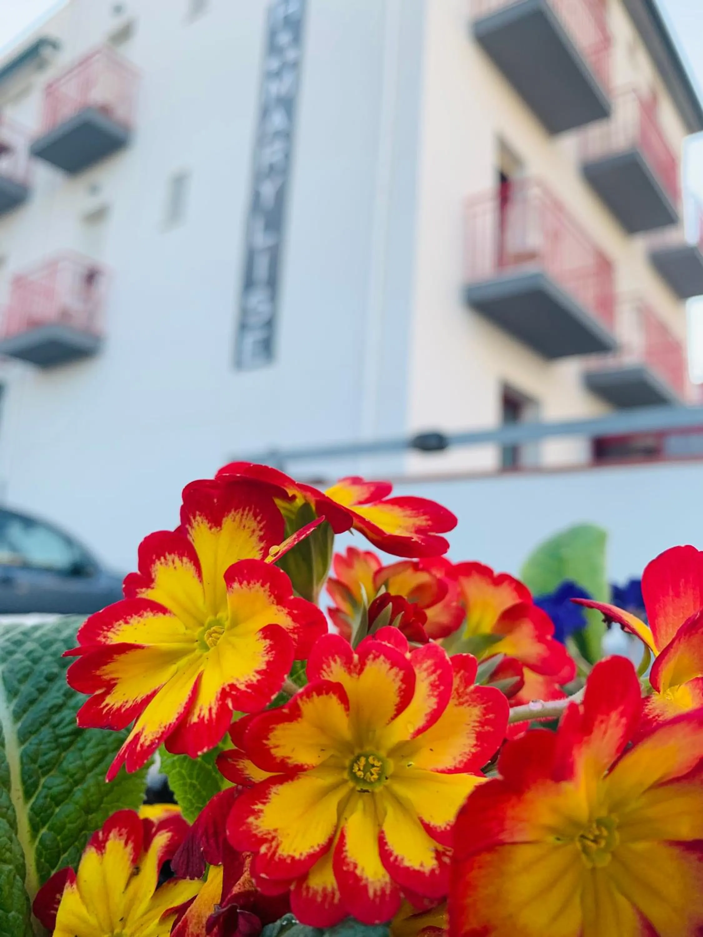 Property building in Hotel Marylise