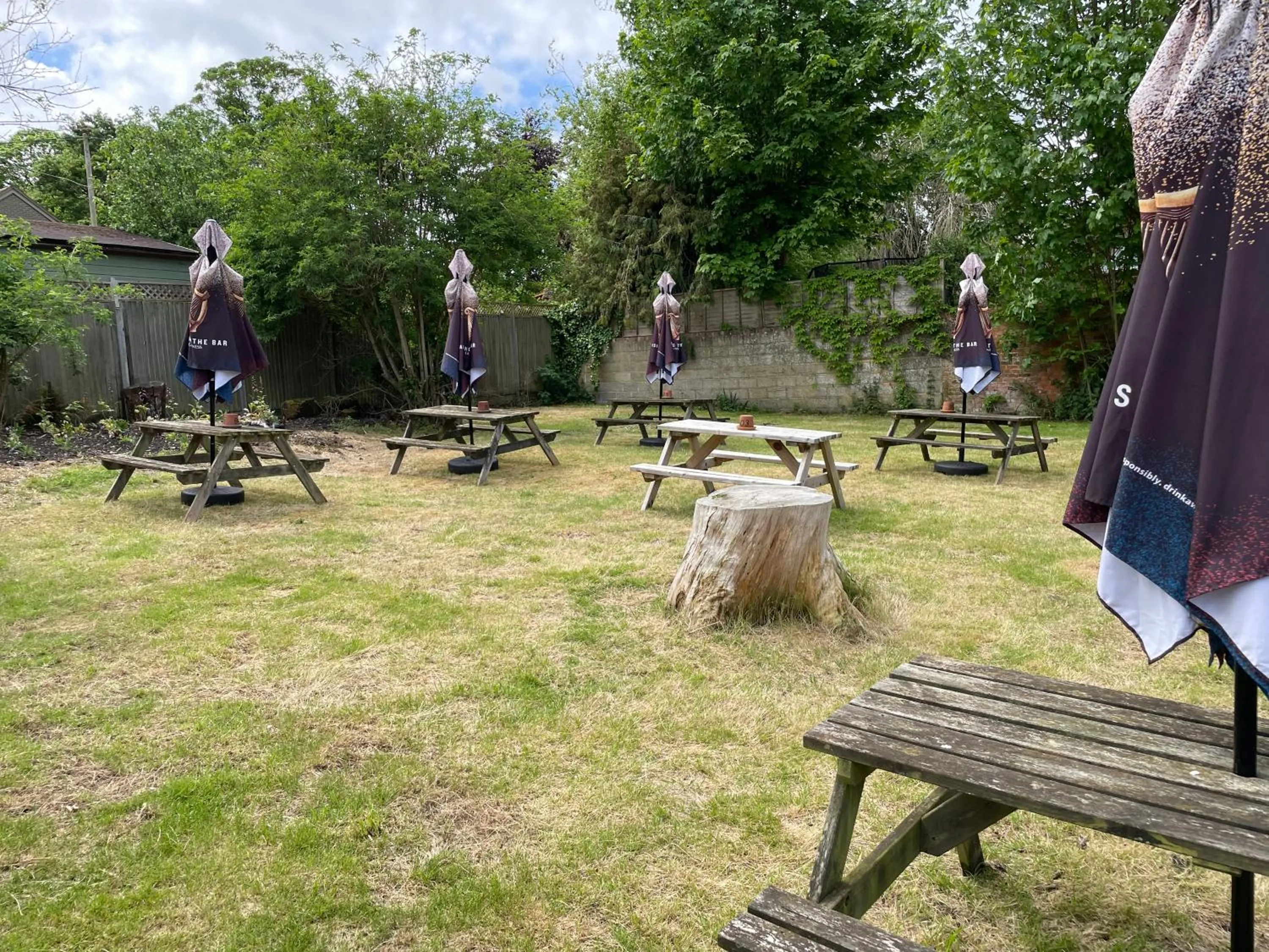 Garden in The Swan Inn