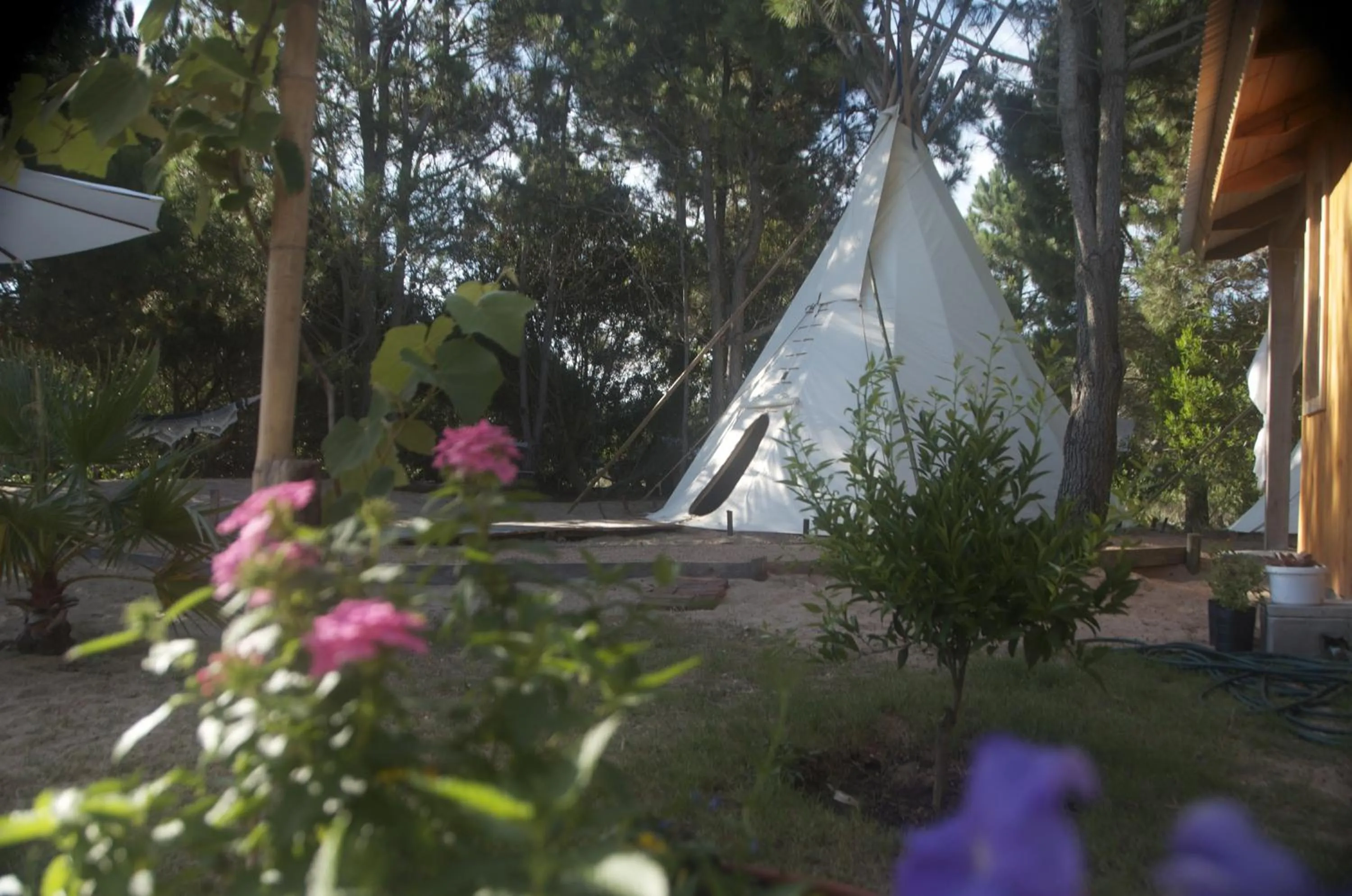 Decorative detail in La Atrevida