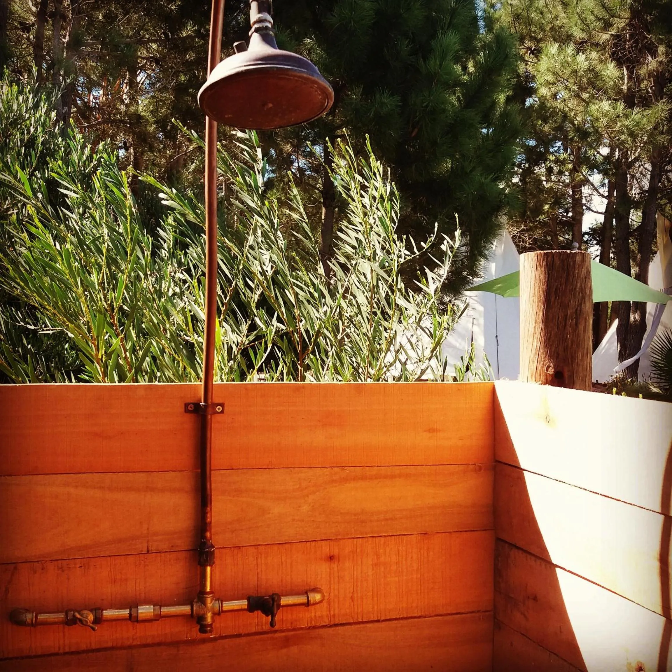 Garden in La Atrevida