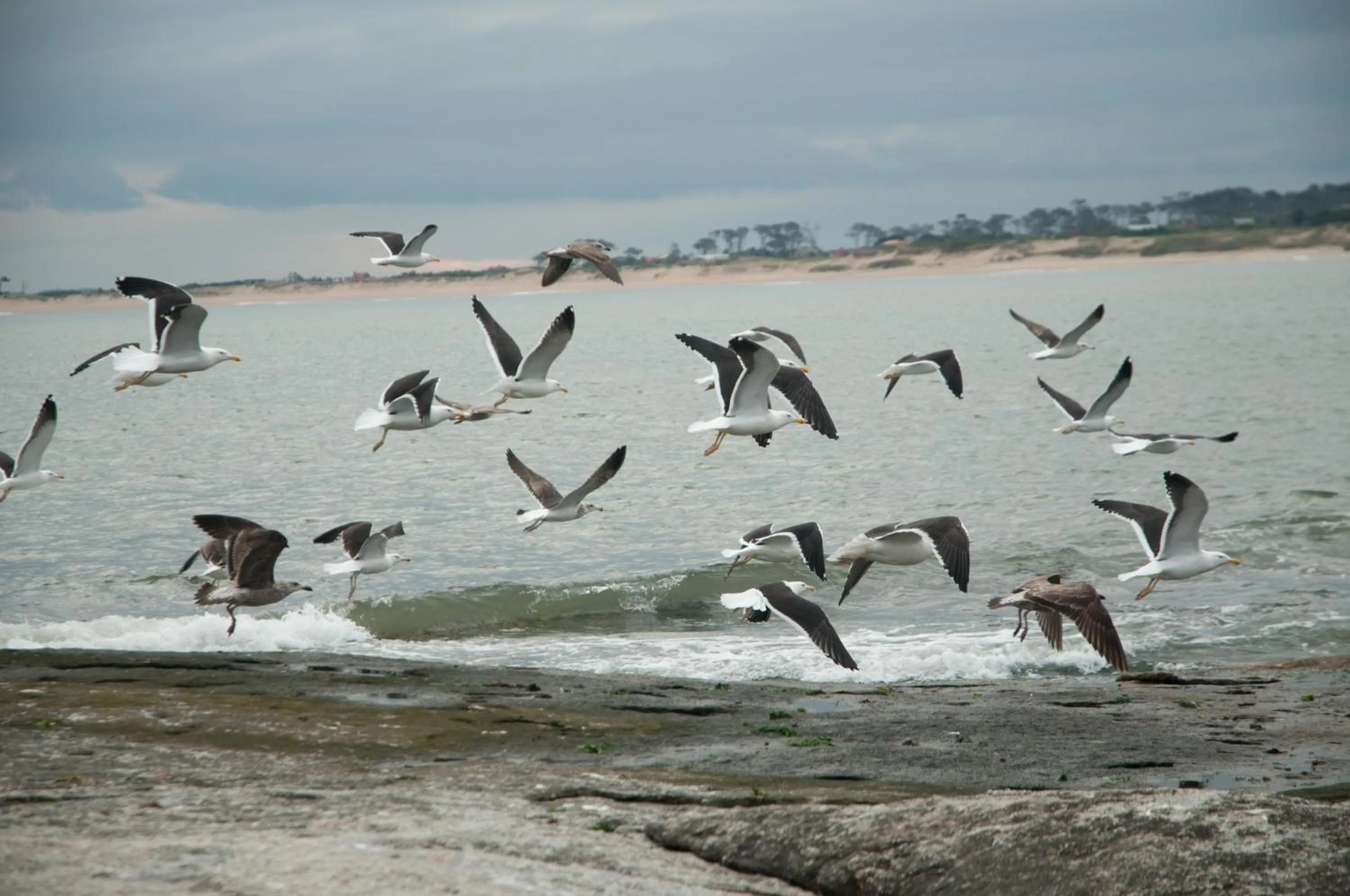 Other in La Atrevida