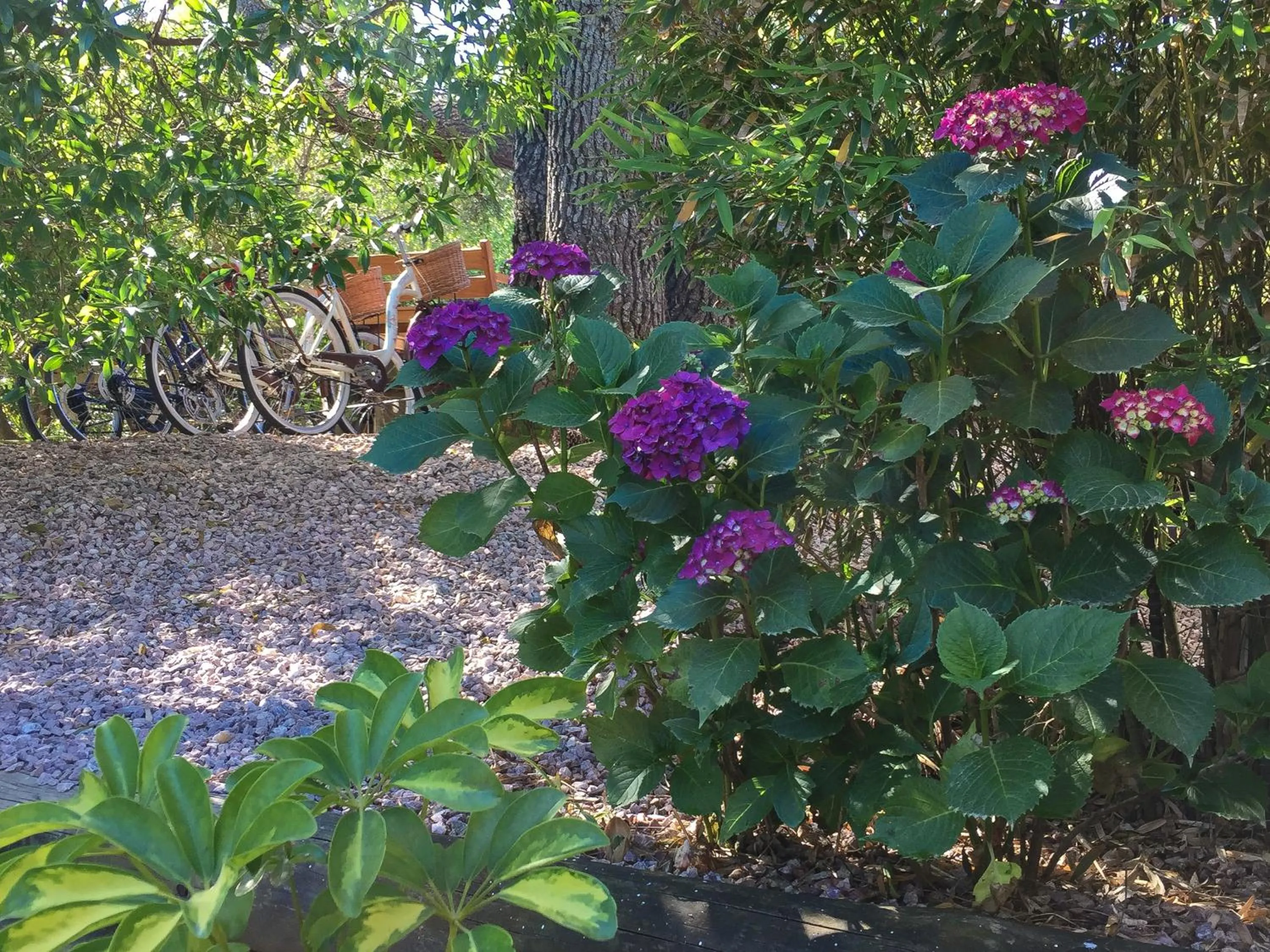 Activities in La Atrevida