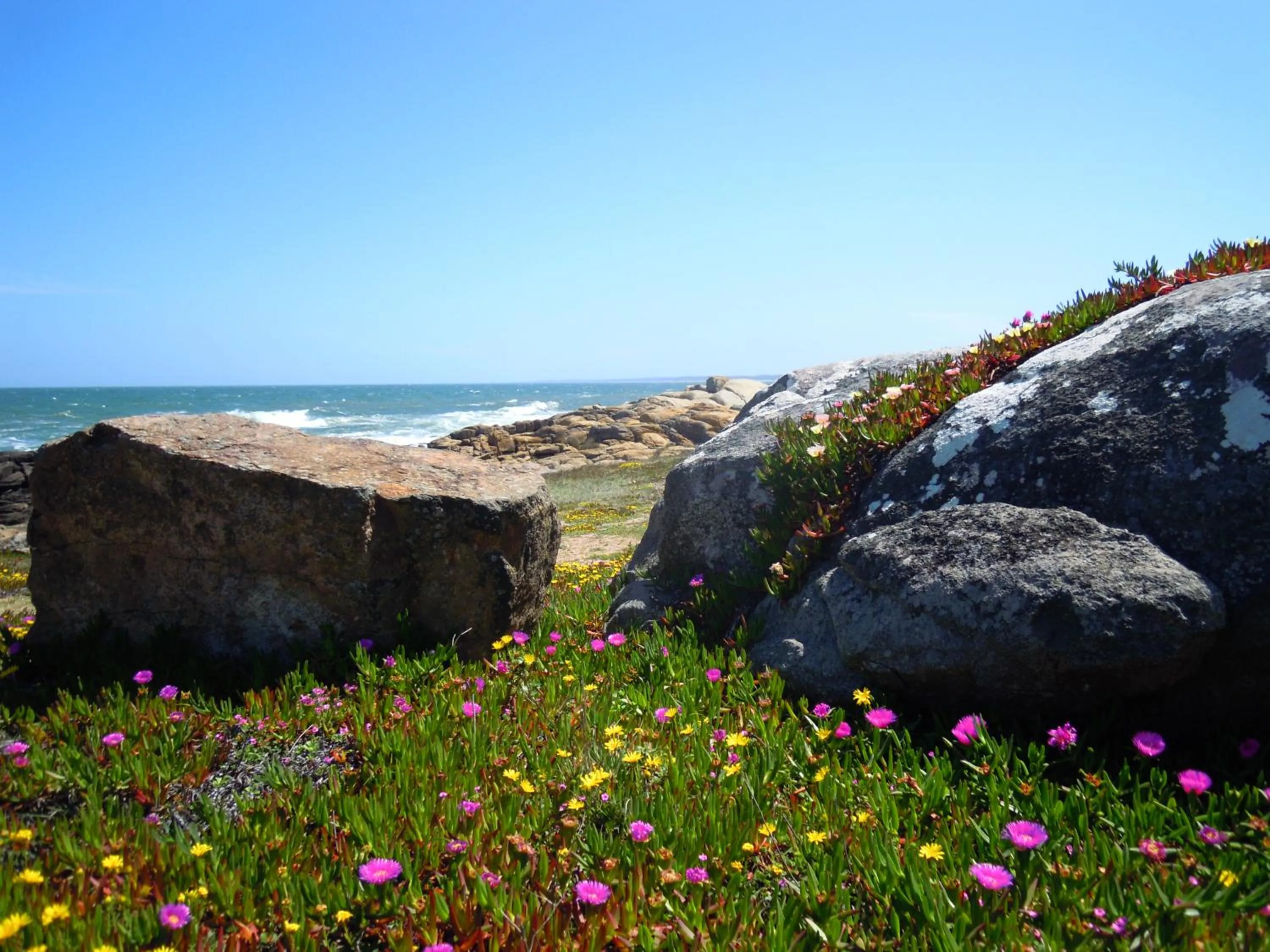 Spring in La Atrevida