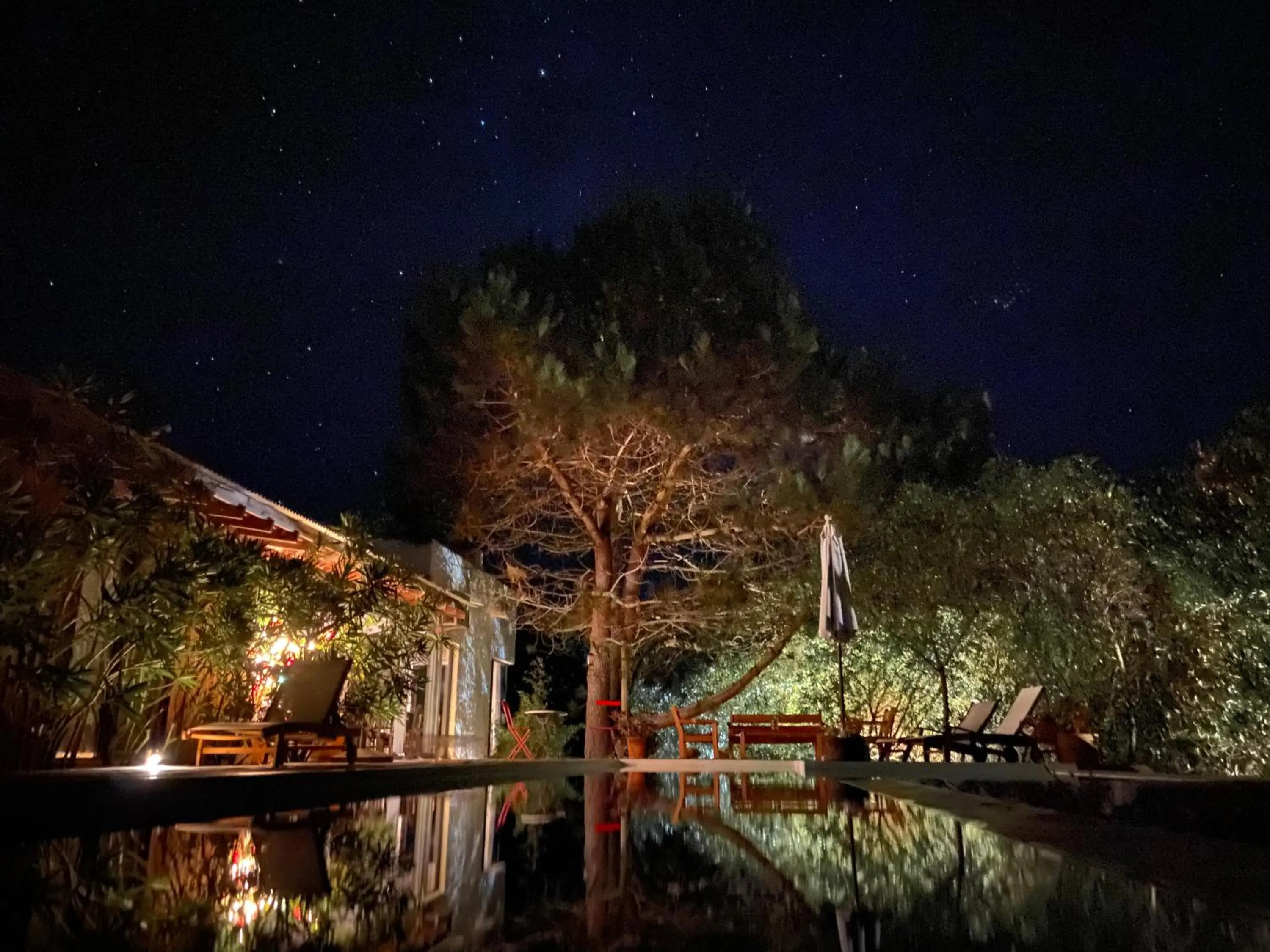 Garden view in La Atrevida