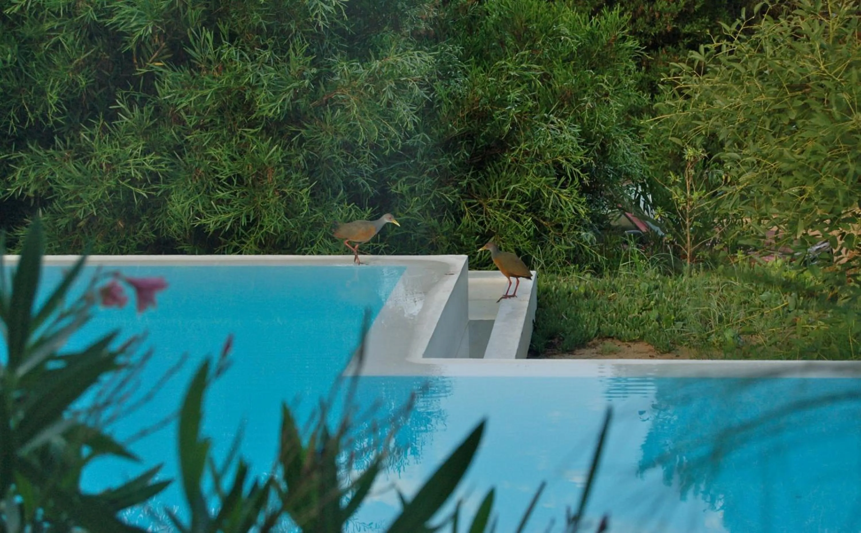 Swimming pool in La Atrevida