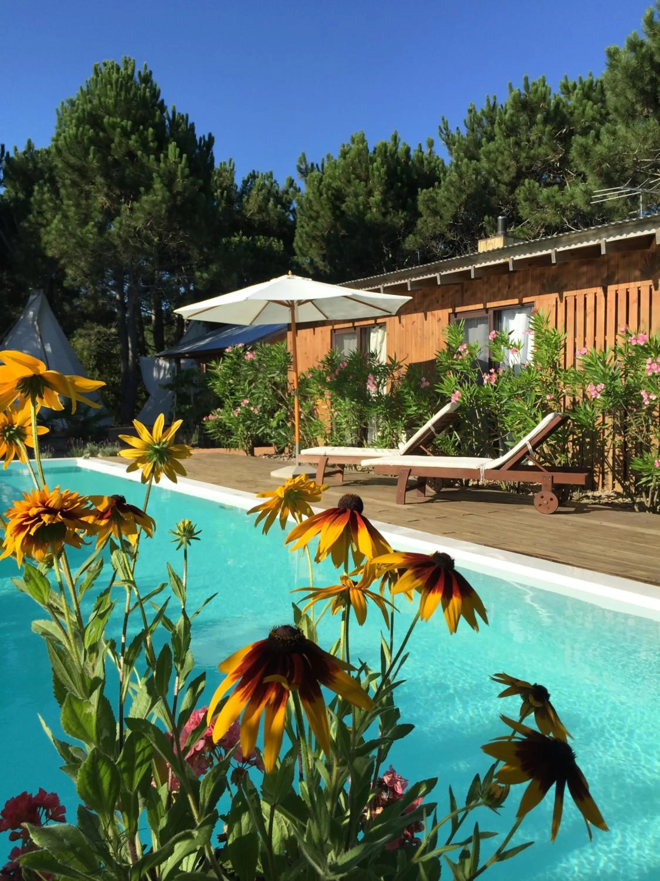 Spring in La Atrevida