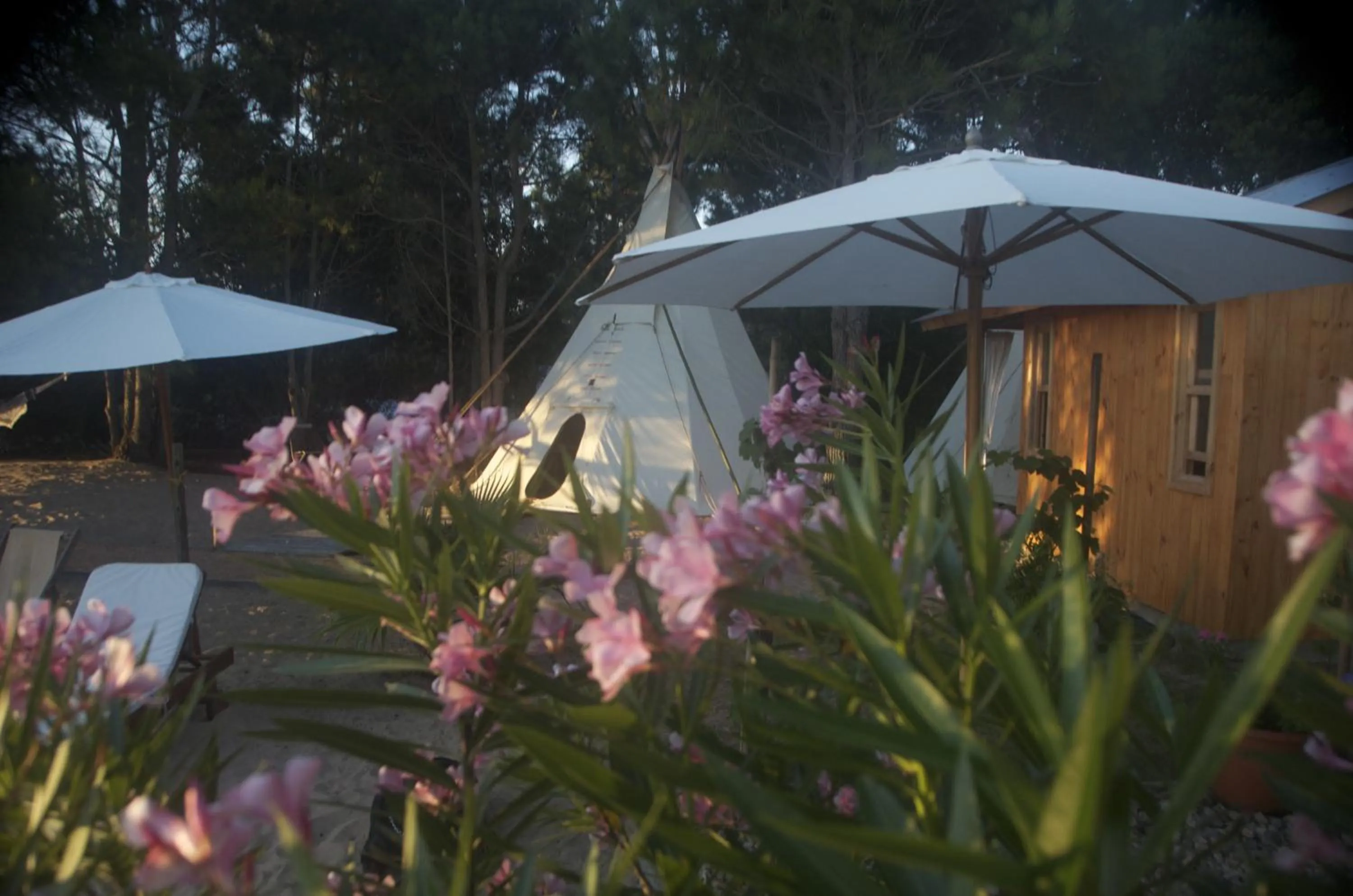 Garden in La Atrevida