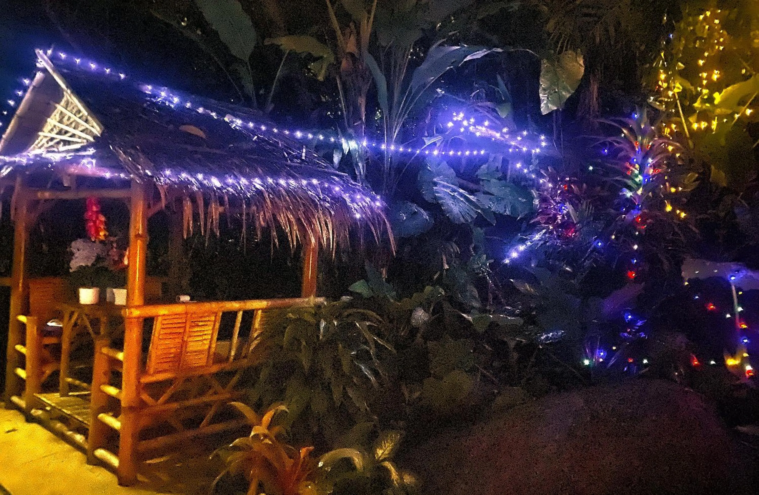 Garden view in OASIS VILLA Karon Beach