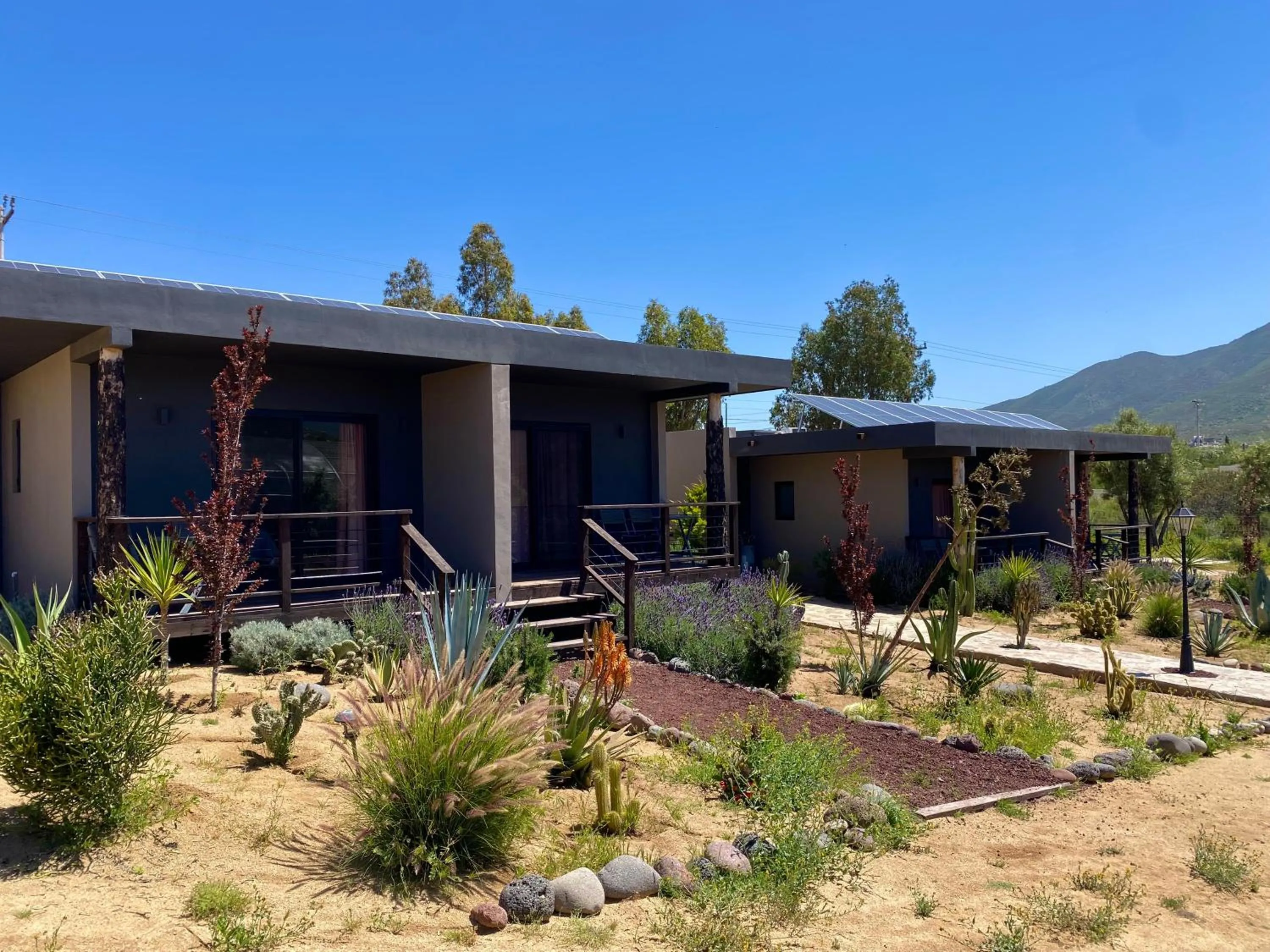 Garden view in Coquenas del Valle