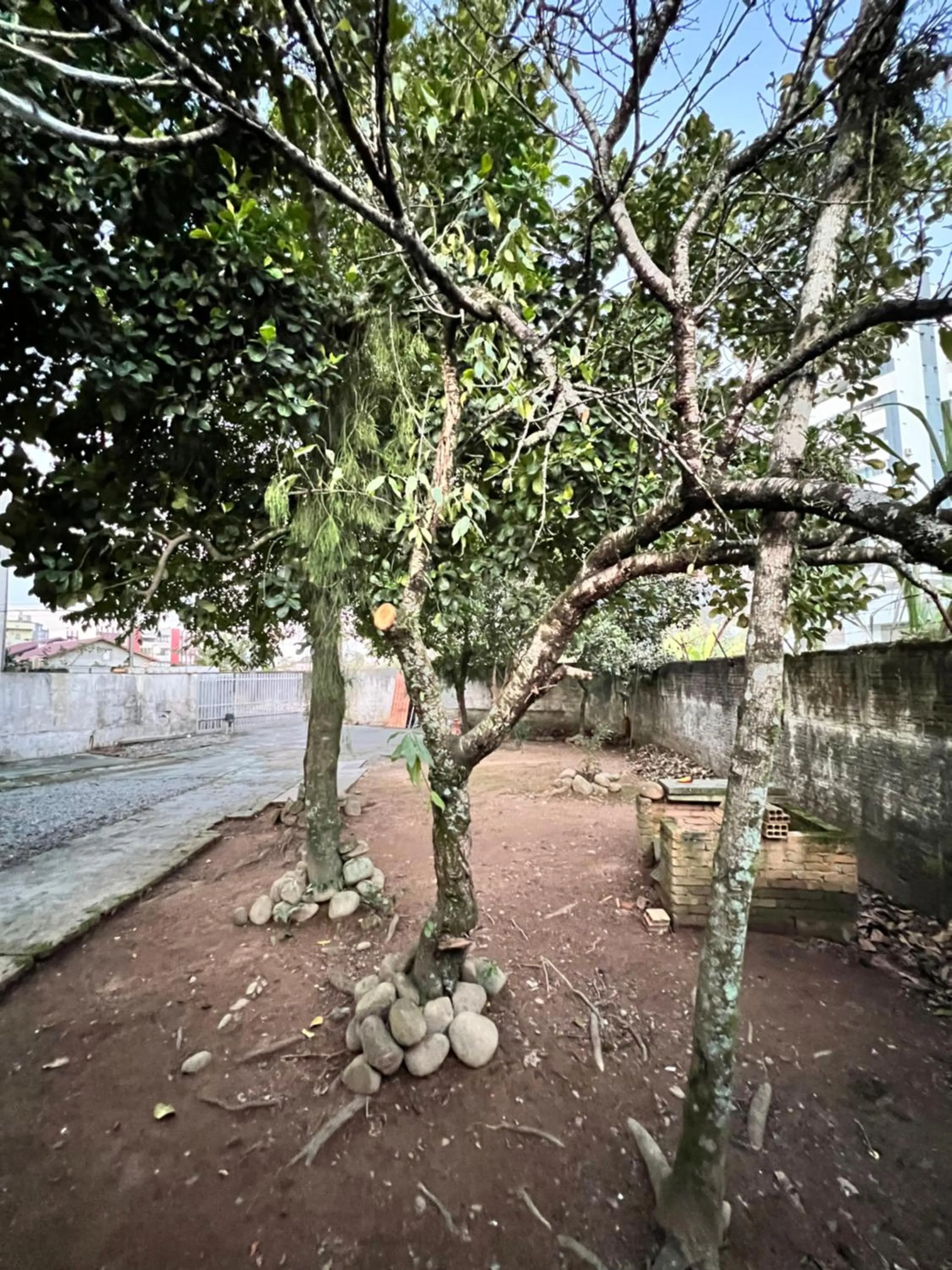Garden in Pousada Central Jaraguá