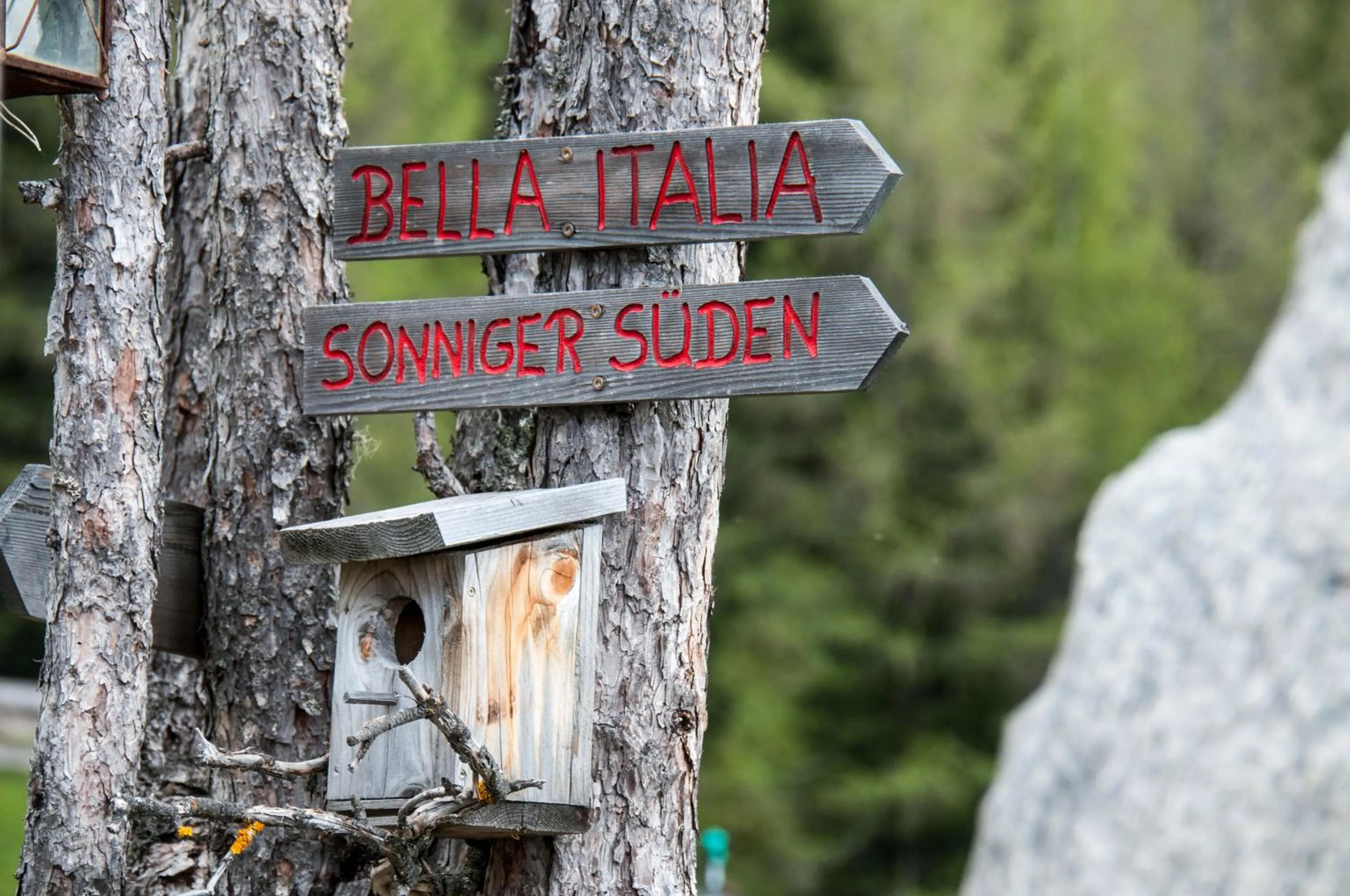 Hiking in Hotel Alte Mühle 4 Stelle