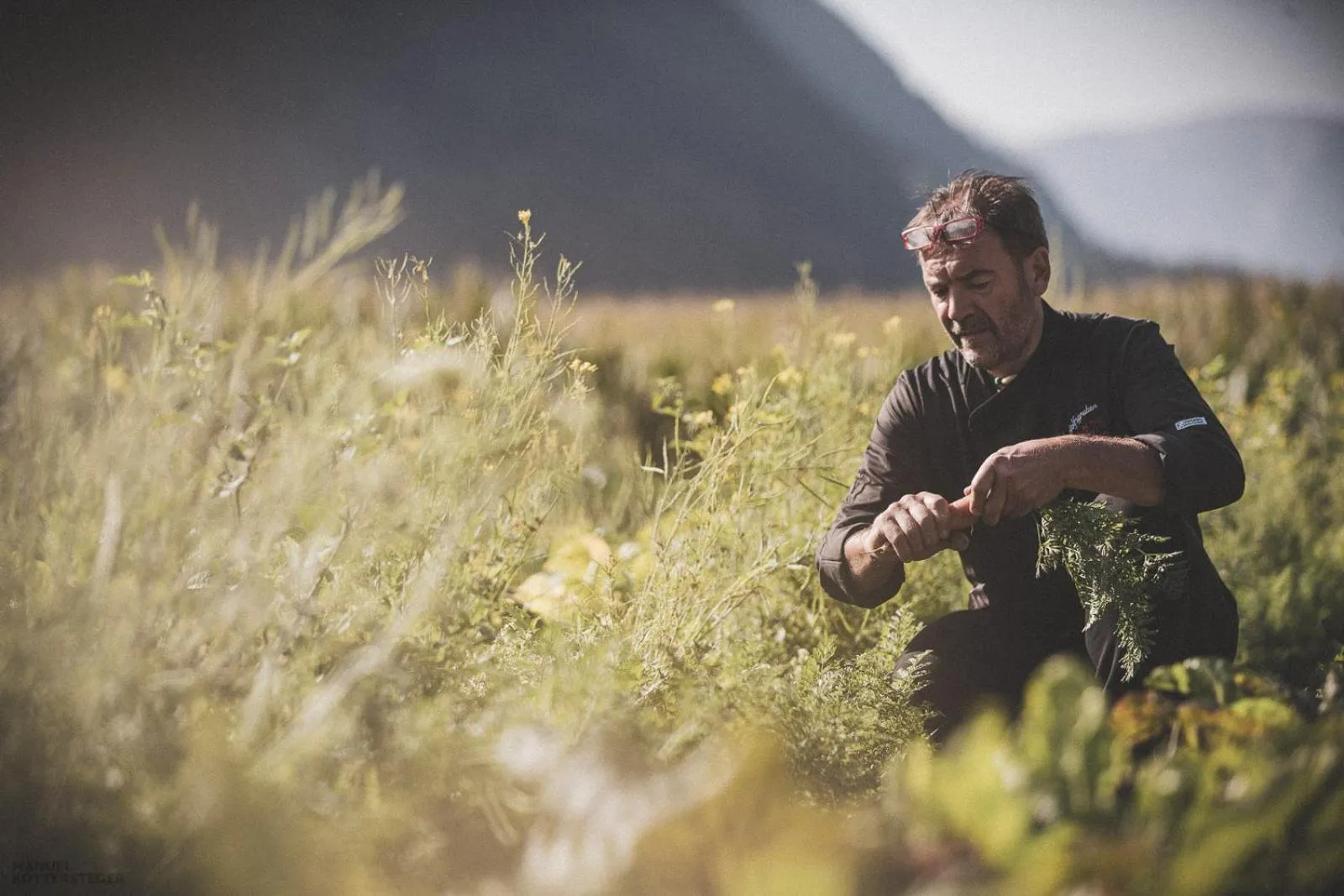 Food in Hotel Alte Mühle 4 Stelle