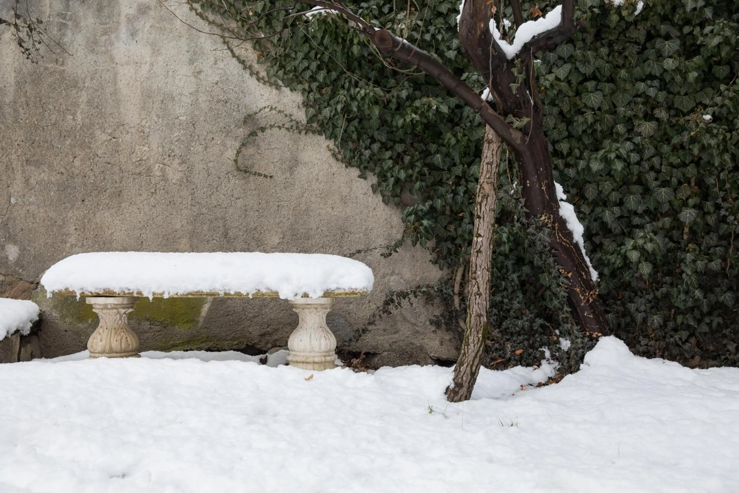 Winter in Hotel Elephant