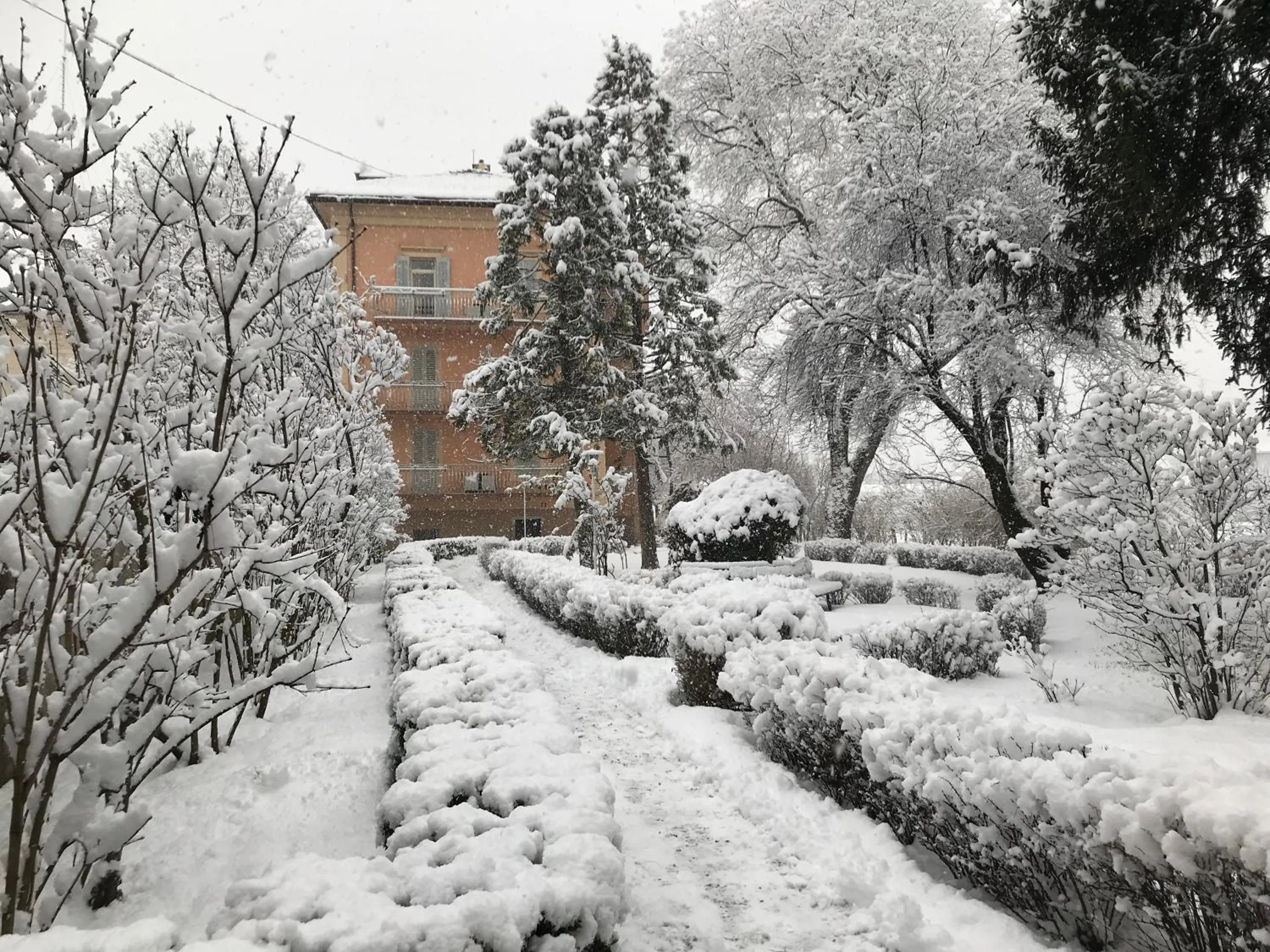 Winter in Hotel Elephant