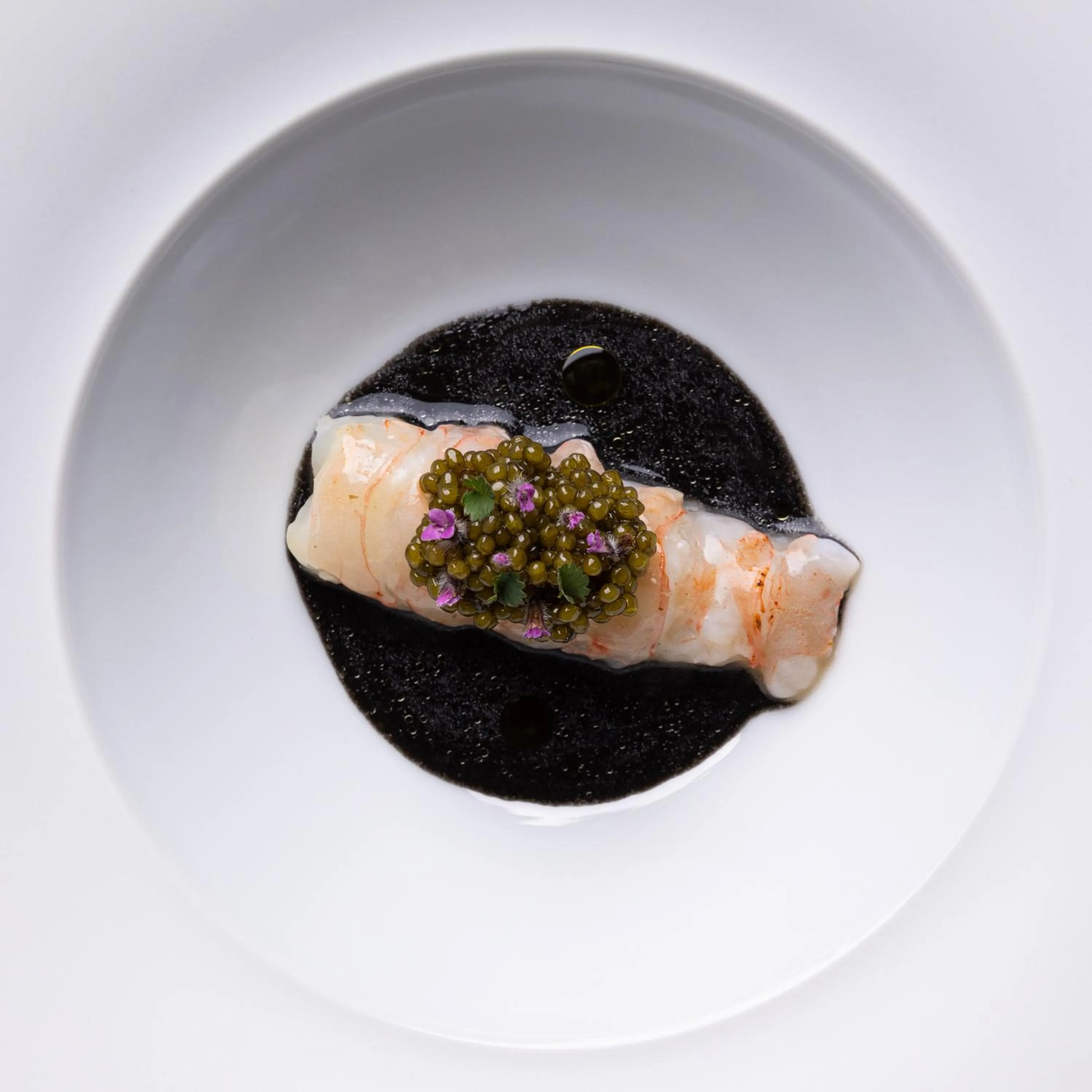 Restaurant/places to eat in Hotel Elephant