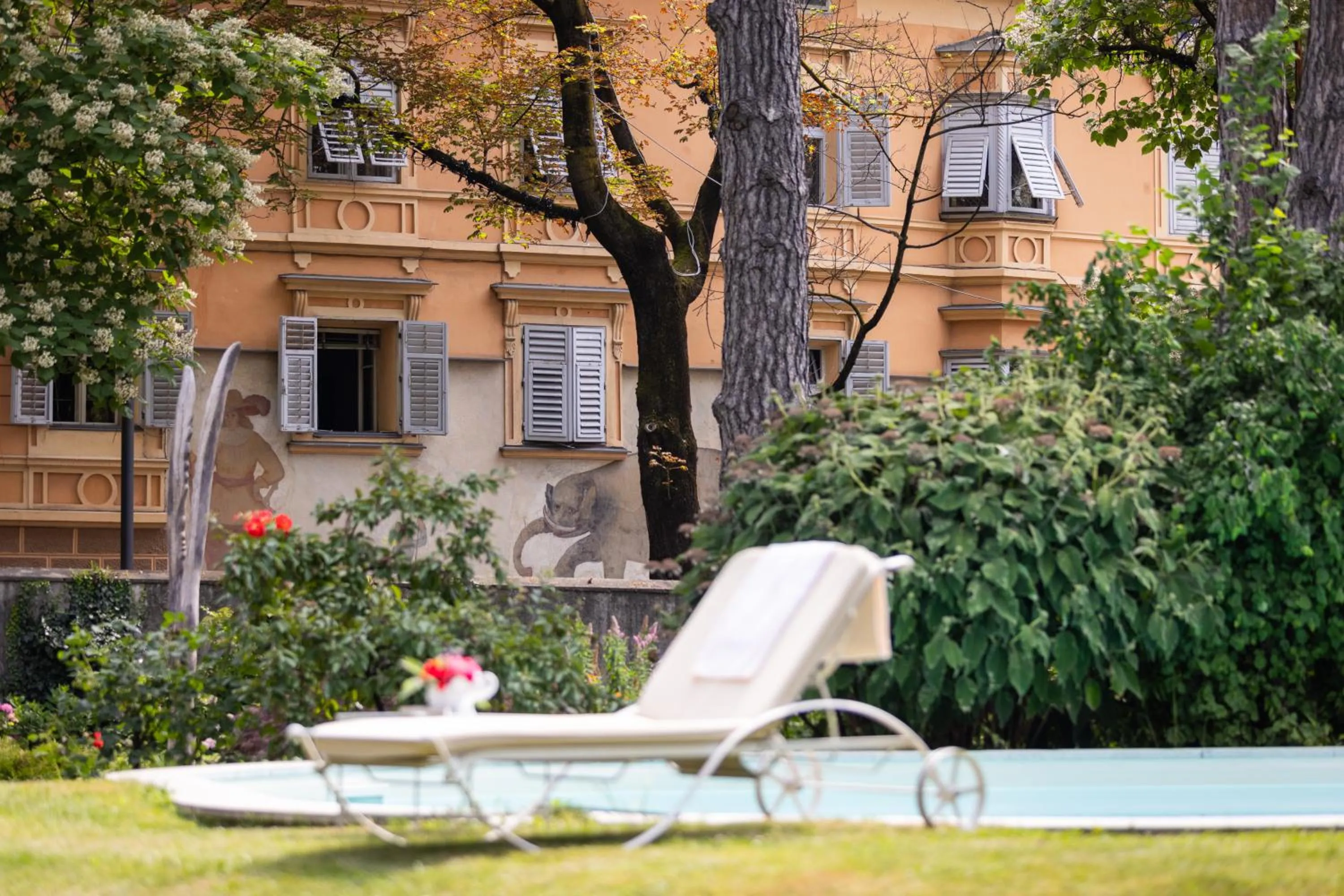 Swimming pool in Hotel Elephant