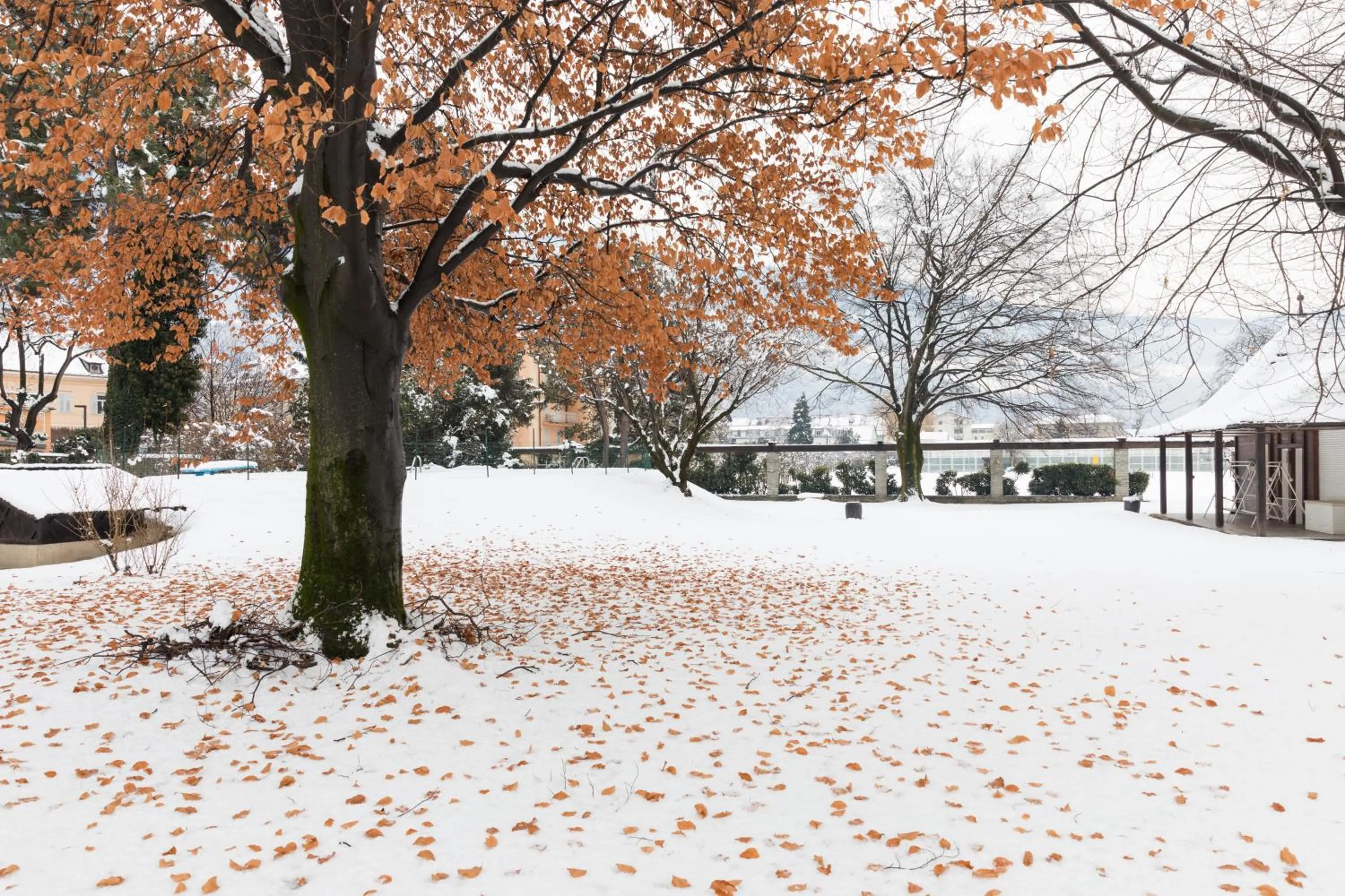 Winter in Hotel Elephant