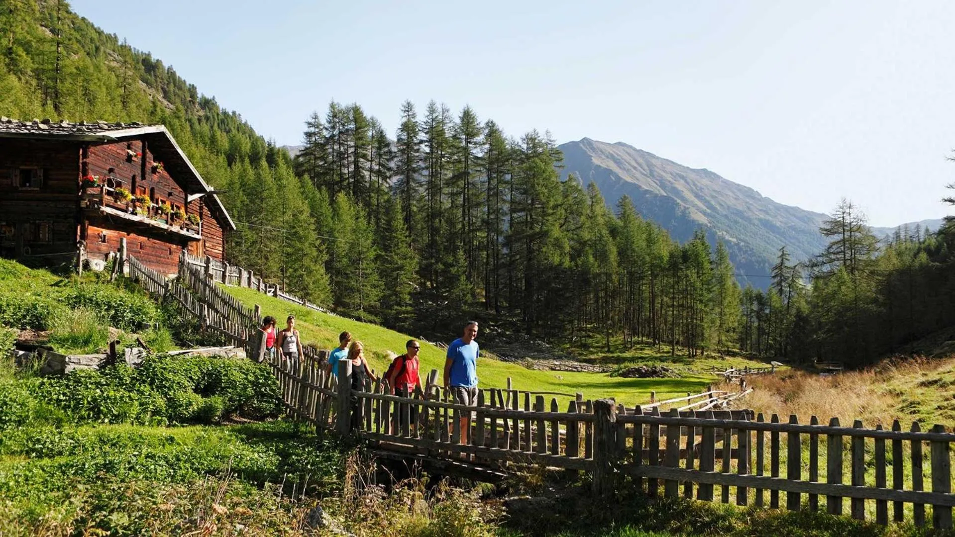 Hiking in Wohlfühlhotel Mei Auszeit