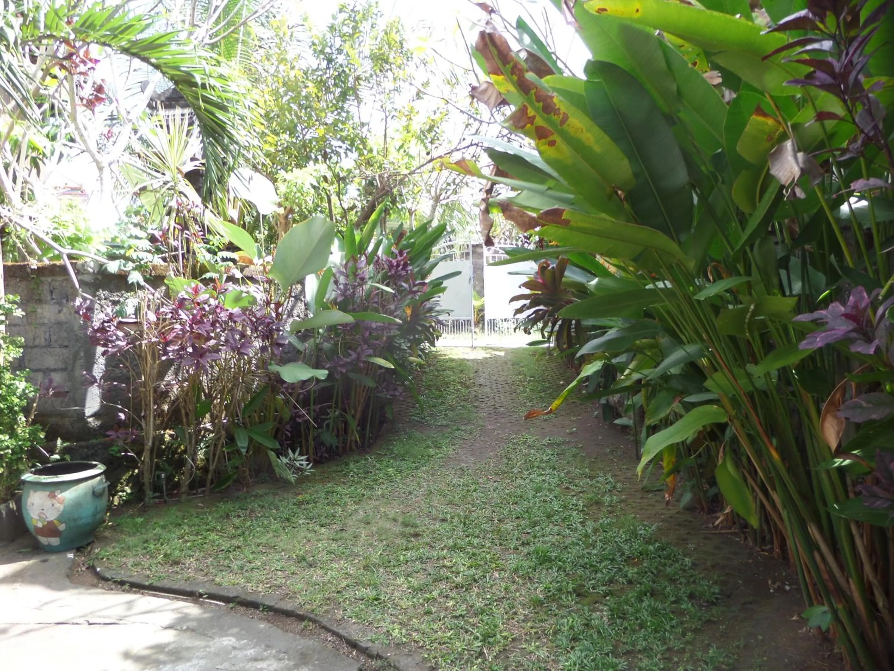 Garden in Salty Sea Guesthouse
