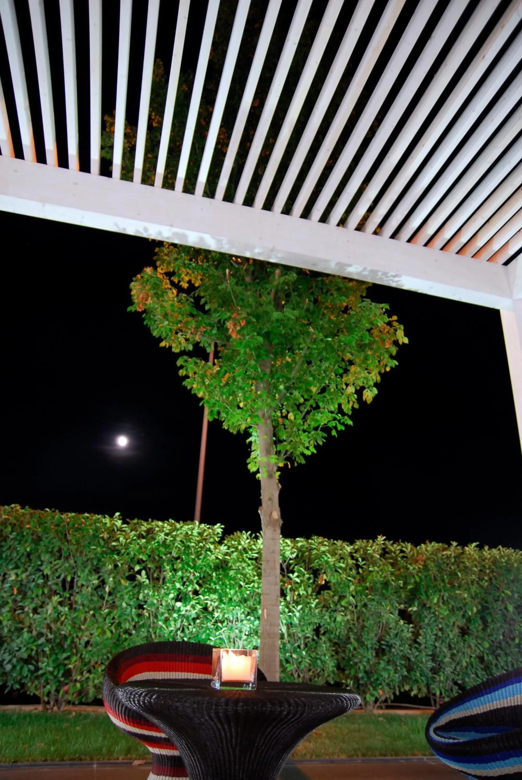 Patio in Hotel Cavallino