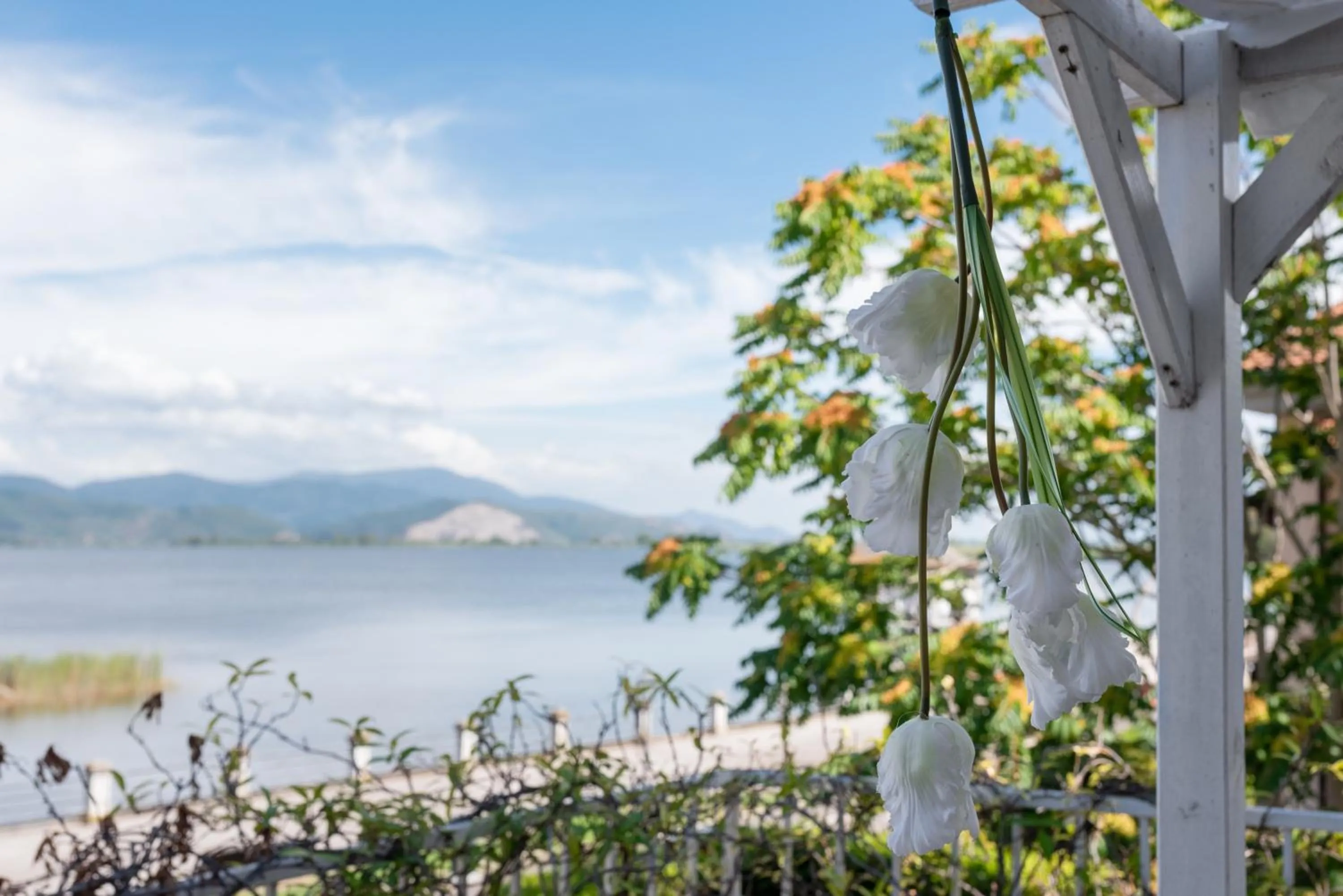 View (from property/room) in Hotel Butterfly