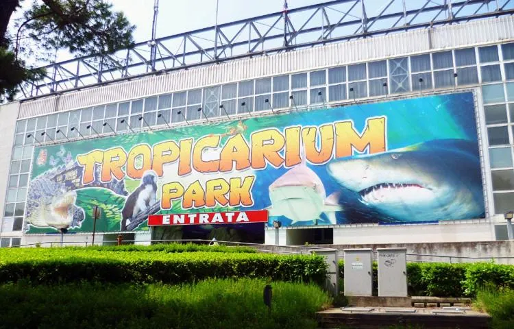 Nearby landmark in Hotel Verdi