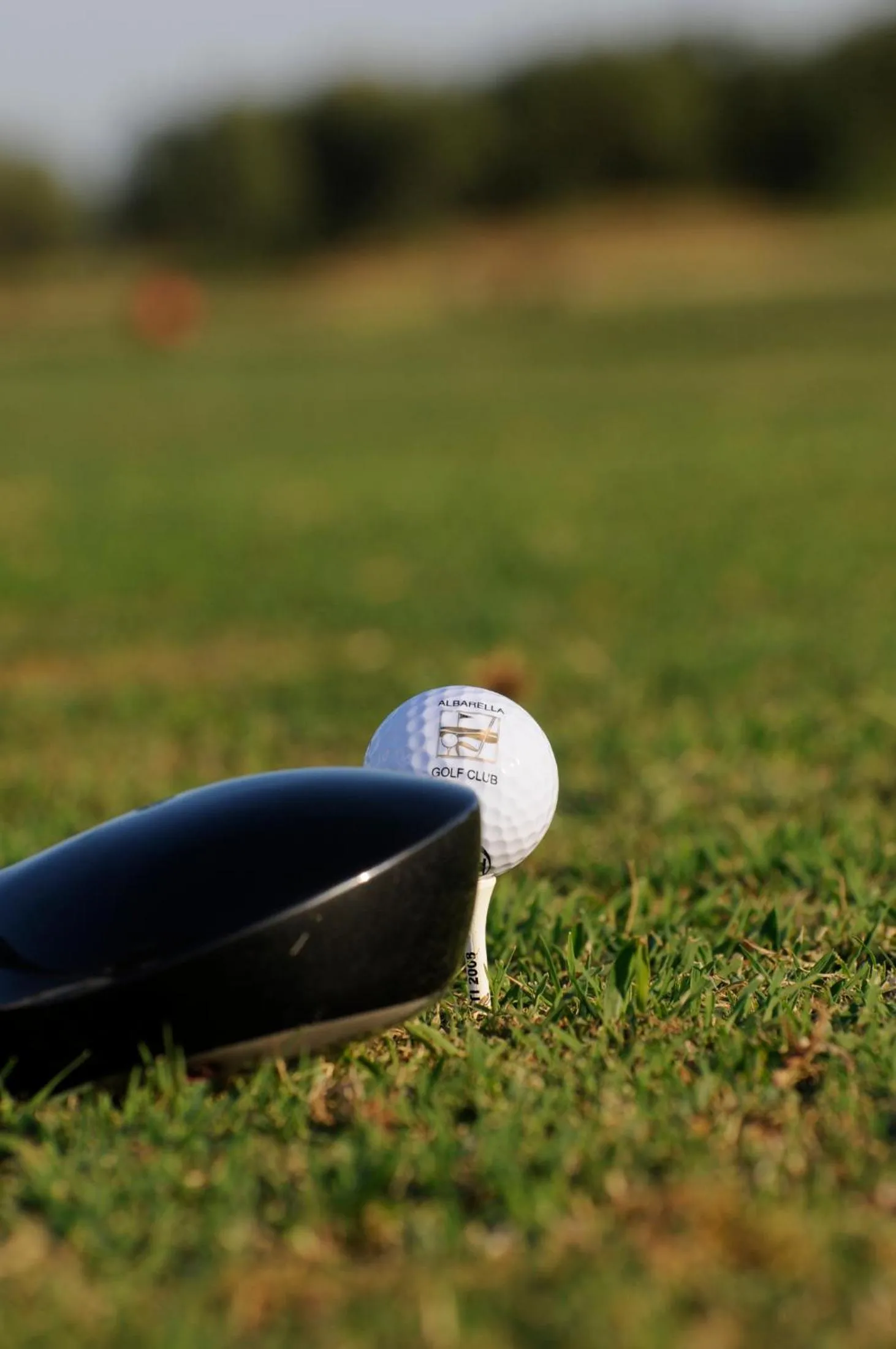 Golfcourse in Isola di Albarella Golf Hotel