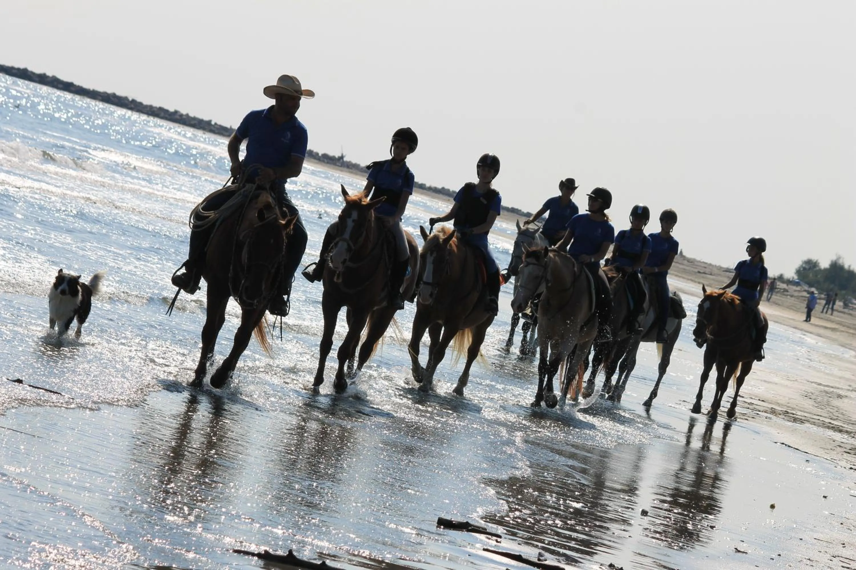 Horse-riding in Isola di Albarella Golf Hotel