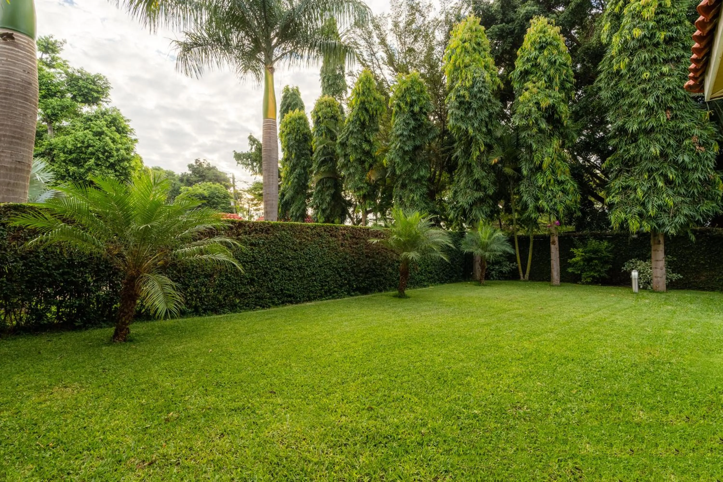 Garden in Kibo Homes Moshi