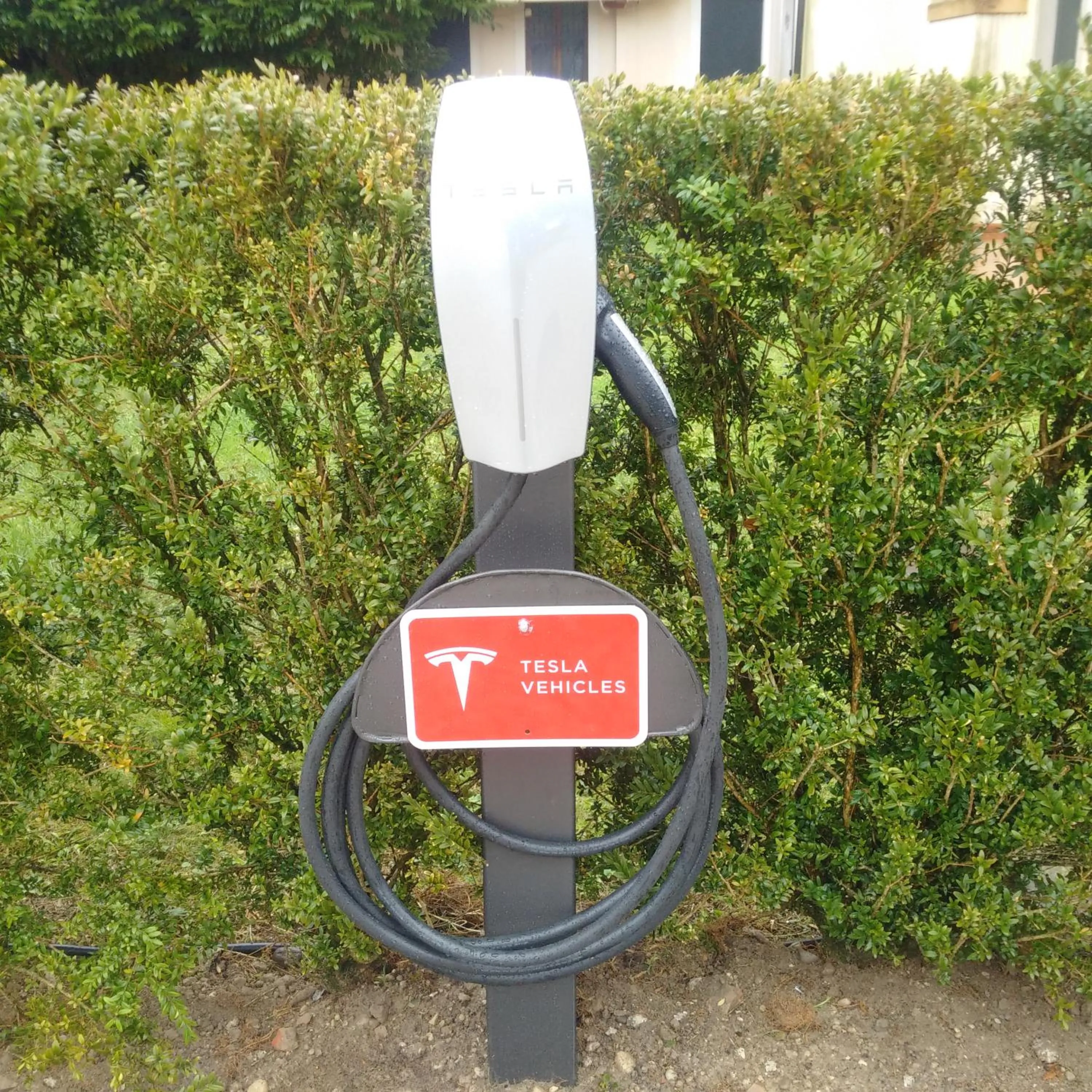 Other in Villa Franceschi Hotel & Resort