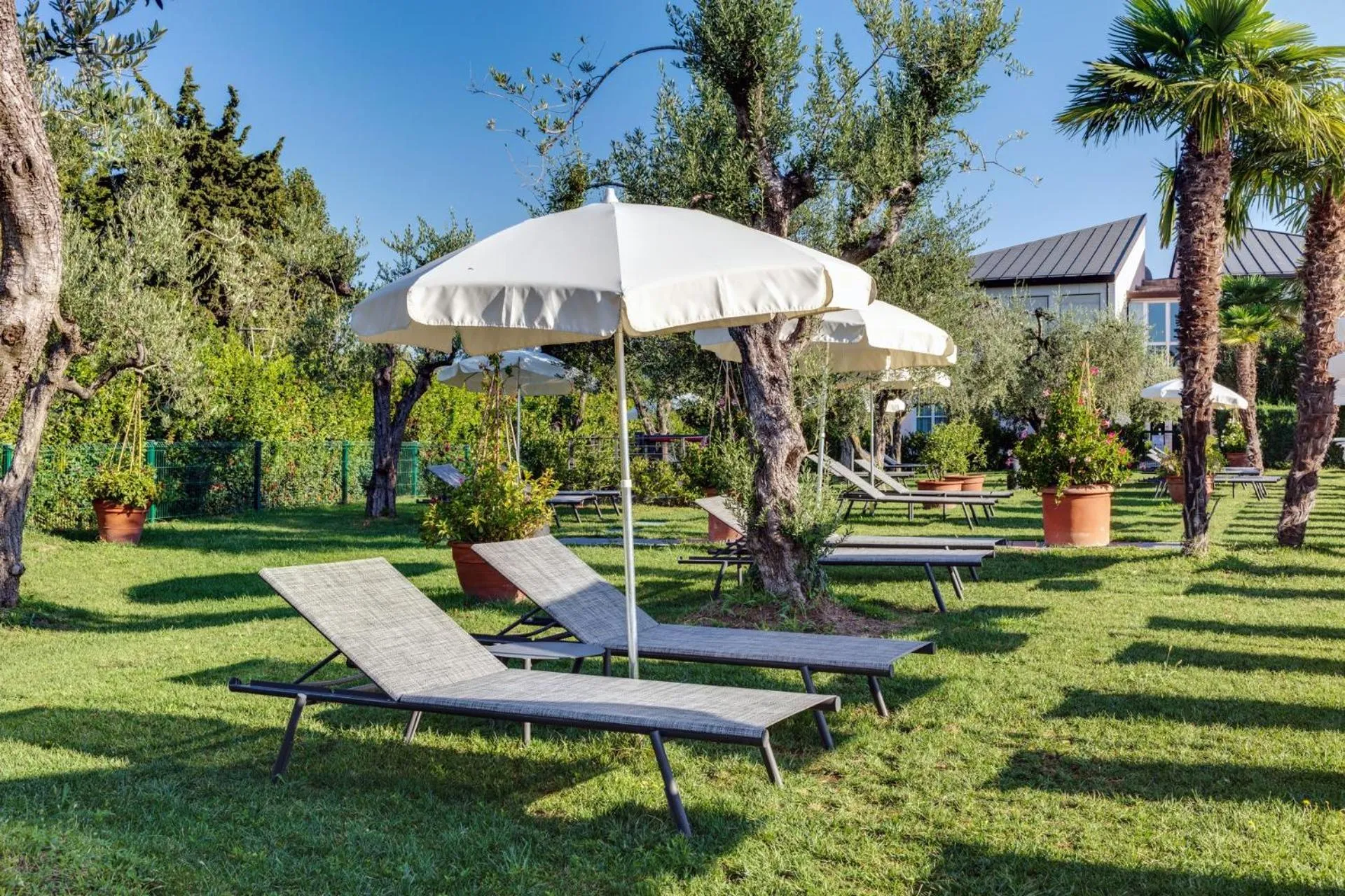 Garden in Hotel Caesius Thermae & Spa Resort