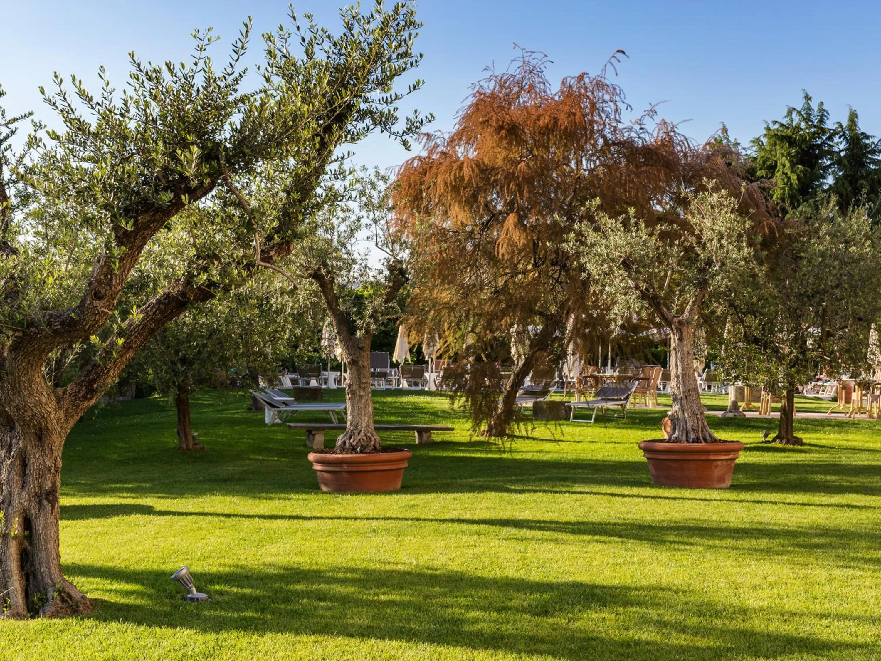 Day in Hotel Ca' Mura